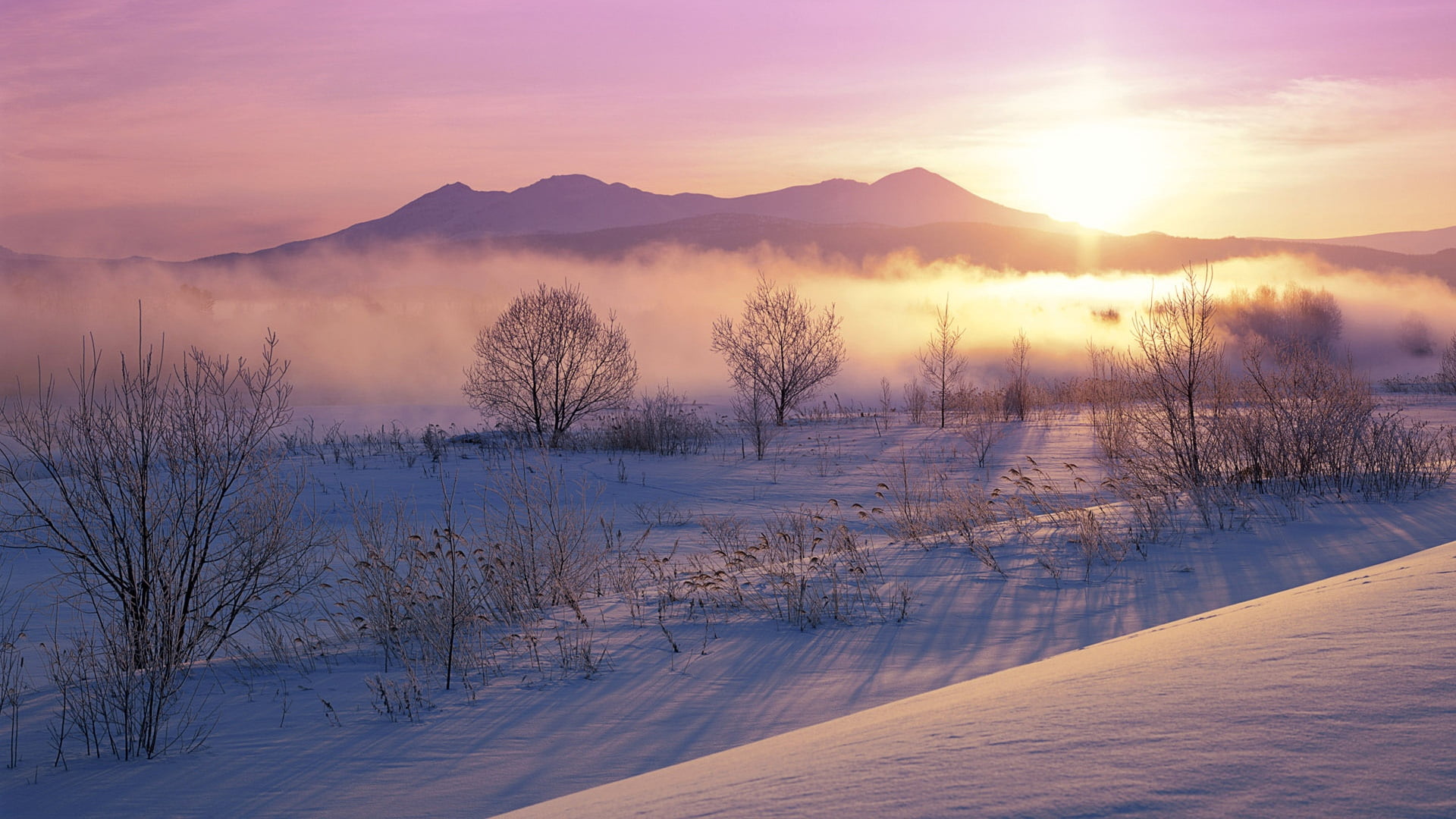 environment, mountain, ice, cold temperature, scenics - nature, nature, 1080P, backgrounds, beauty In Nature, morning, hill, forest, dawn, scenics, no People, HD Wallpaper