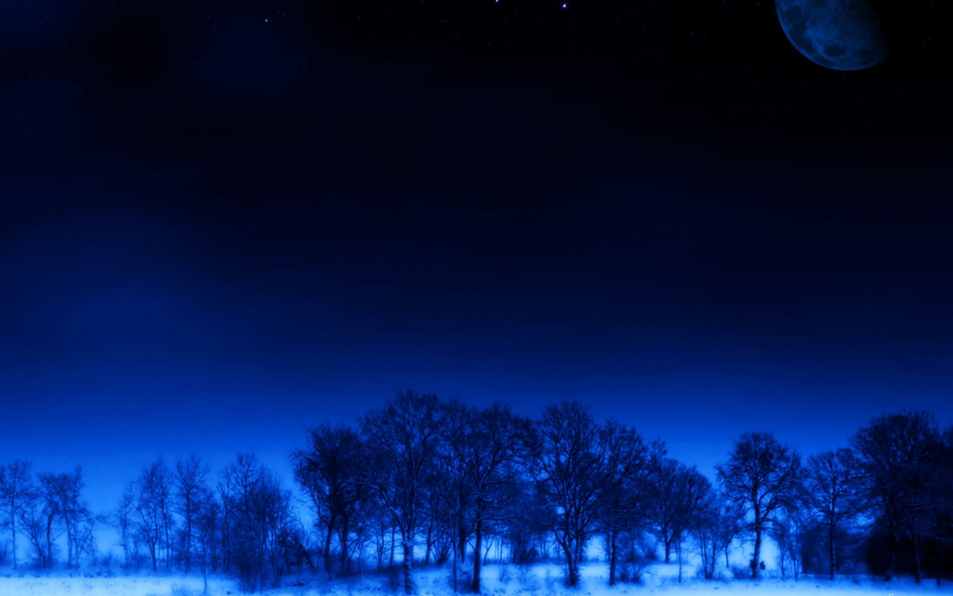 sky, dream, stars, forest, nature, night, space, snowing, tree, astronomy, outdoors, winter, tranquil Scene, backgrounds, season, trees, star - Space, blue, HD Wallpaper