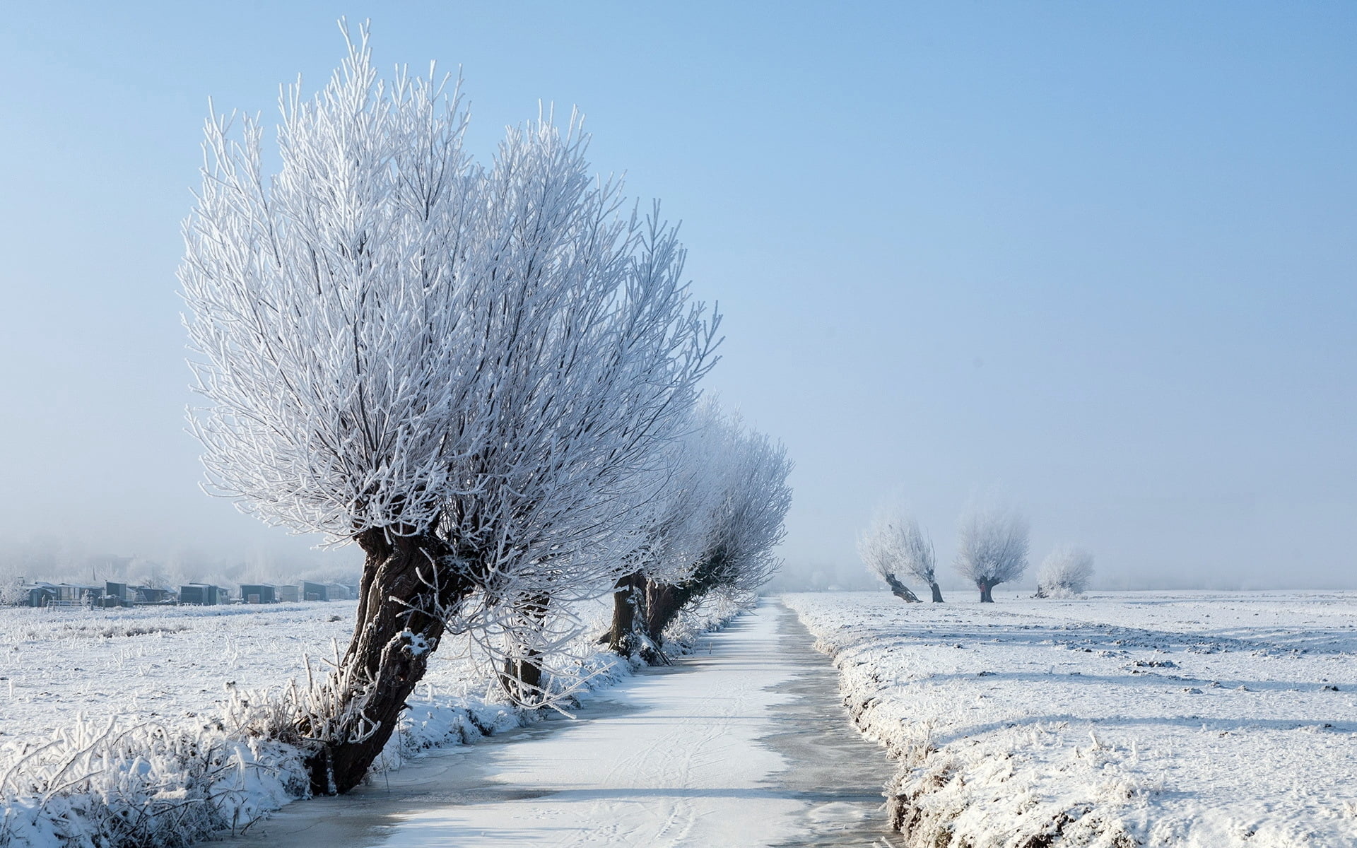 leafless, scenics - nature, 1080P, golf, clear sky, branch, covering, weather, river, white, no People, sky, cold - Temperature, tranquility, tree, non-Urban Scene, HD Wallpaper