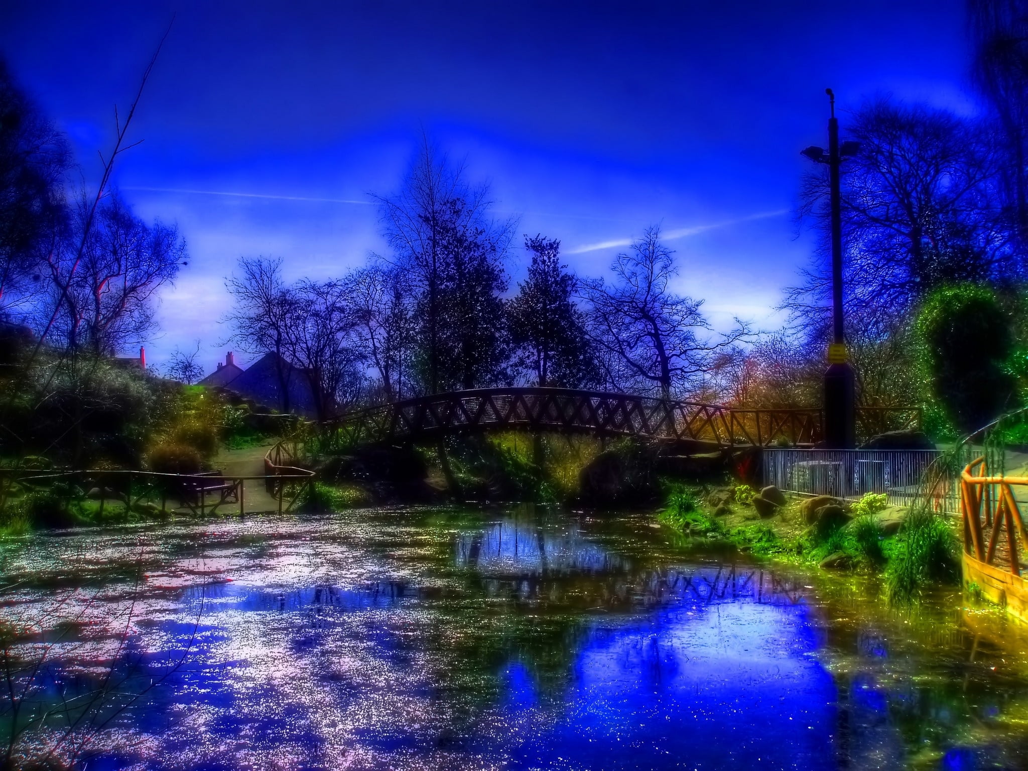 plant, illuminated, summer, park - Man Made Space, scenics, bridge - Man Made Structure, springtime, tranquil Scene, urban Scene, connection, nature, footbridge, HD Wallpaper