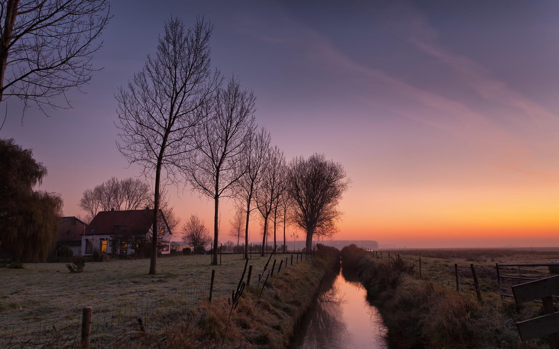 leafless, 1080P, landscapes, background, hd, trees, HD Wallpaper