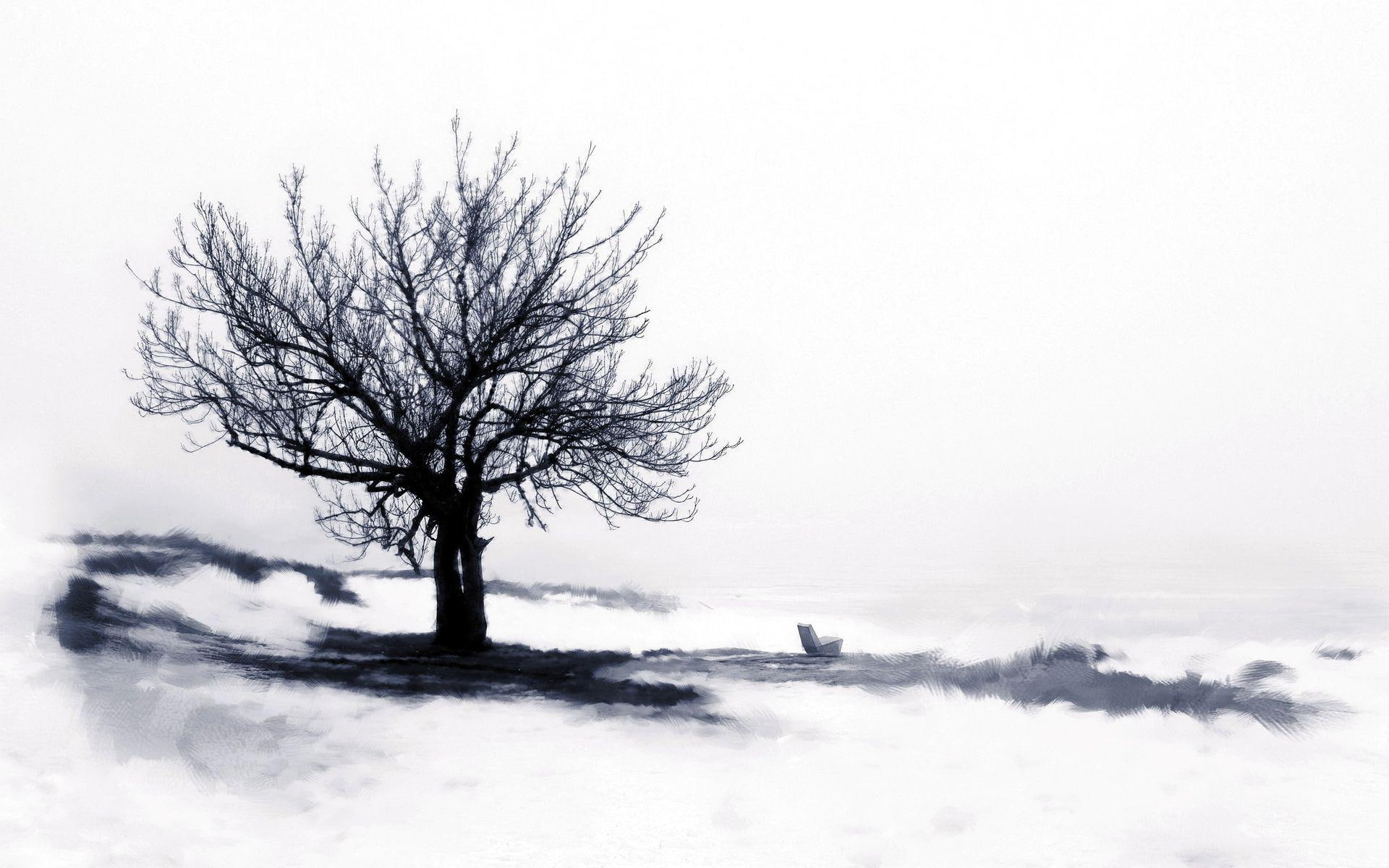 tree, 1920x1200, bench, artistic, surrounded, leafless, snow, drawing, 1080P, monochrome, HD Wallpaper