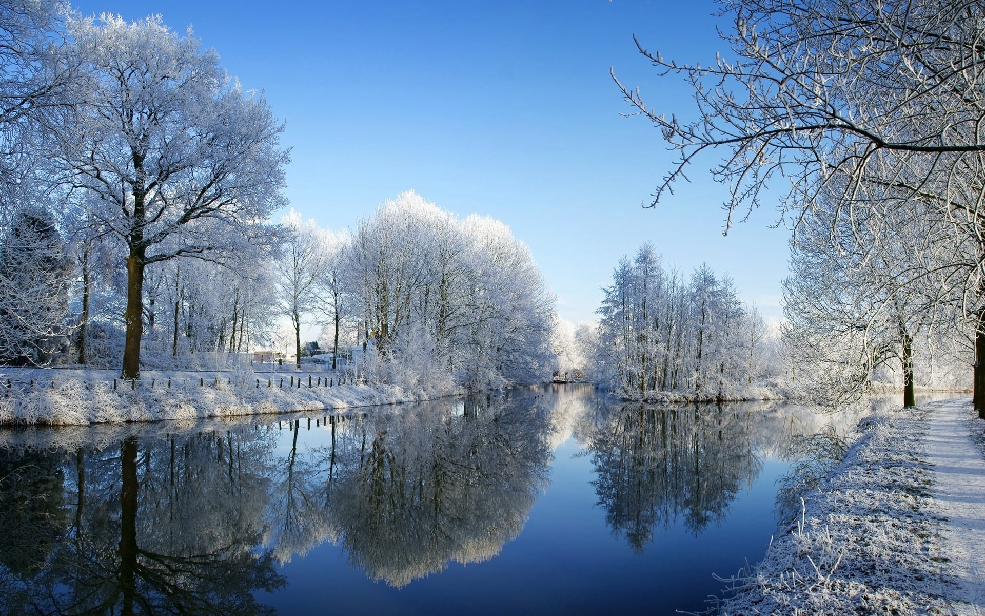 1080P, white, winter, tranquil Scene, lake, near, blue, body, frozen, branch, tree, beauty In Nature, scenics, ice, frost, park, leafless, outdoors, reflection, HD Wallpaper