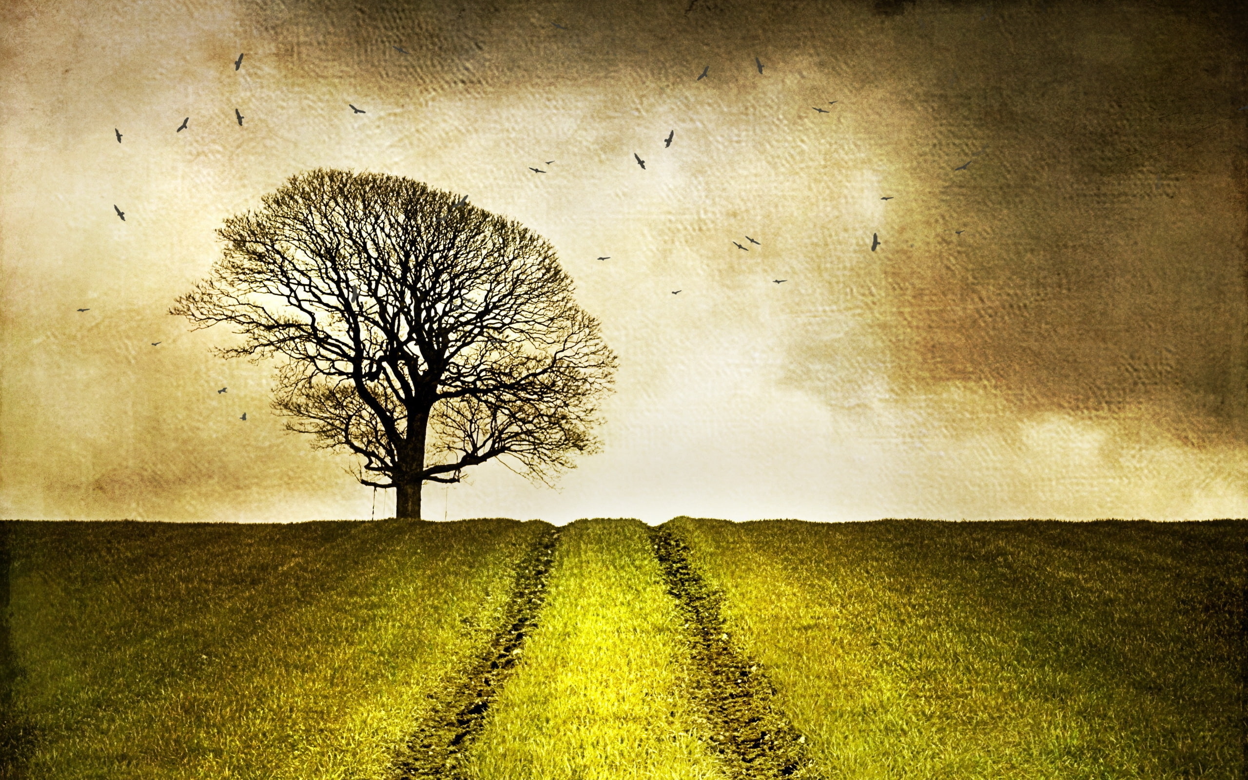 tree, field, green, phto, landscape, grass, 2K, art, leafless, painting, land, HD Wallpaper
