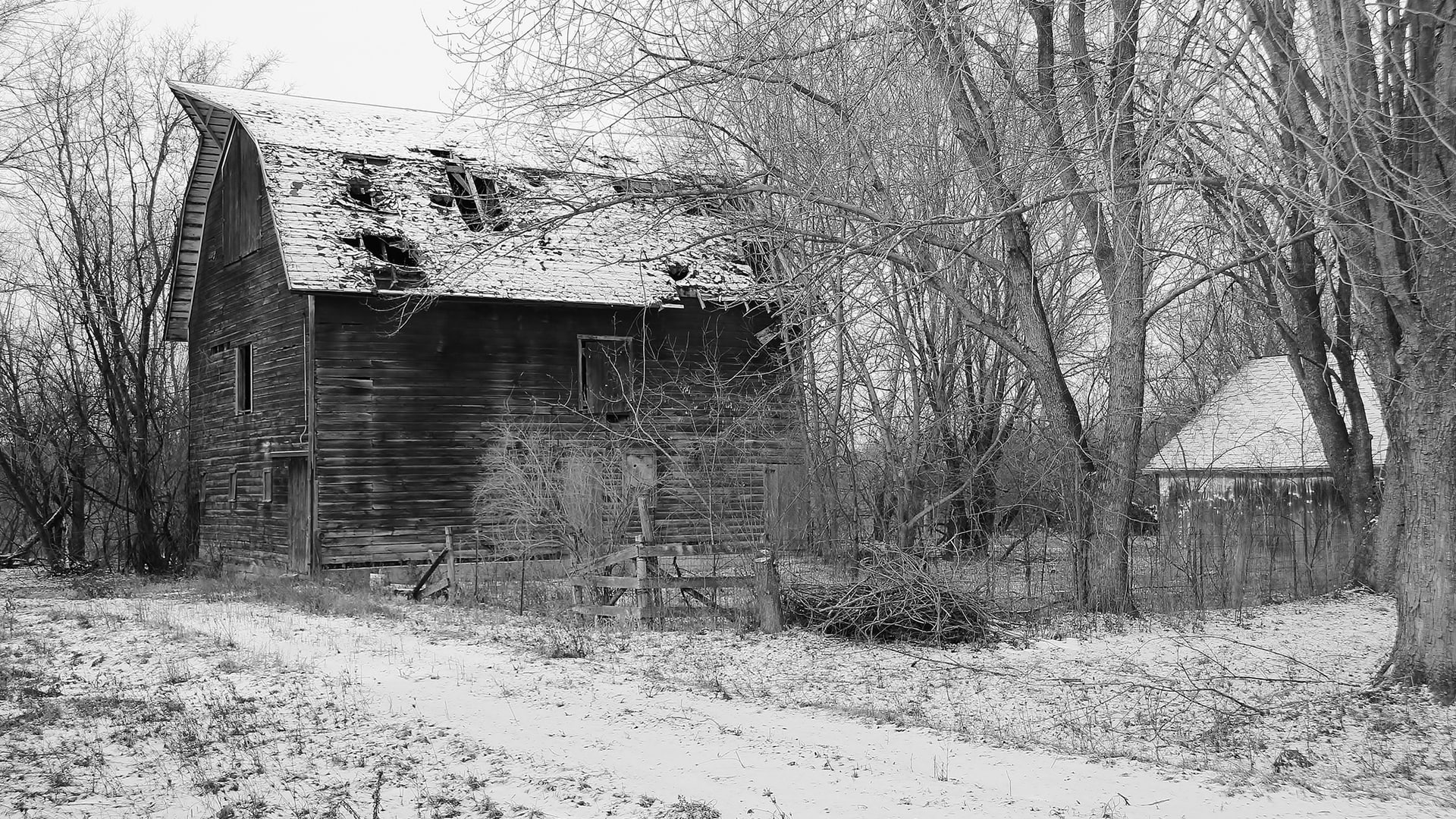 barn, trees, bw, hd, winter, 1080P, nature, tree, leafless, snow, HD Wallpaper
