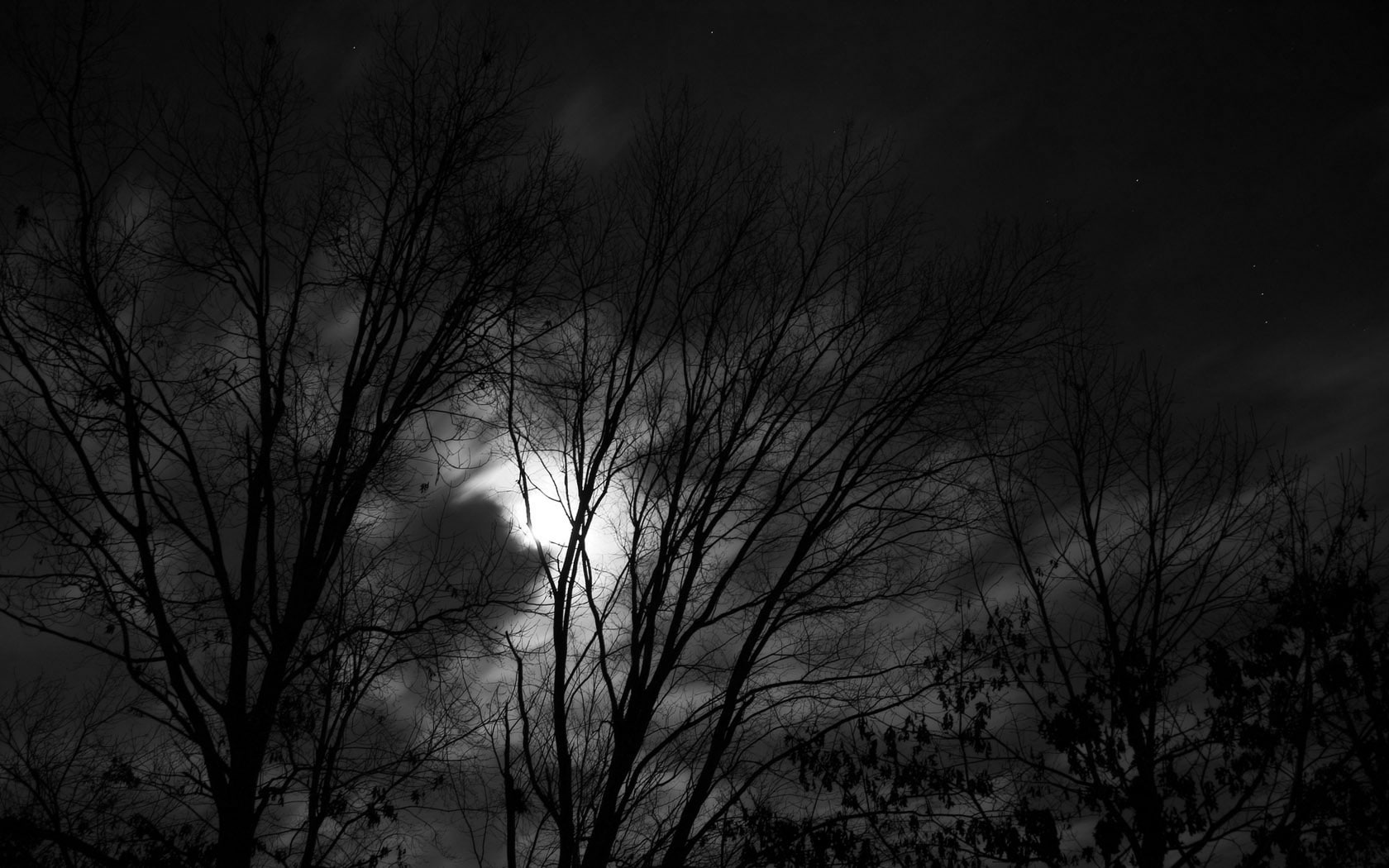 leafless, silhouette, bw, moonlight, hd, nature, tree, 720P, night, trees, HD Wallpaper