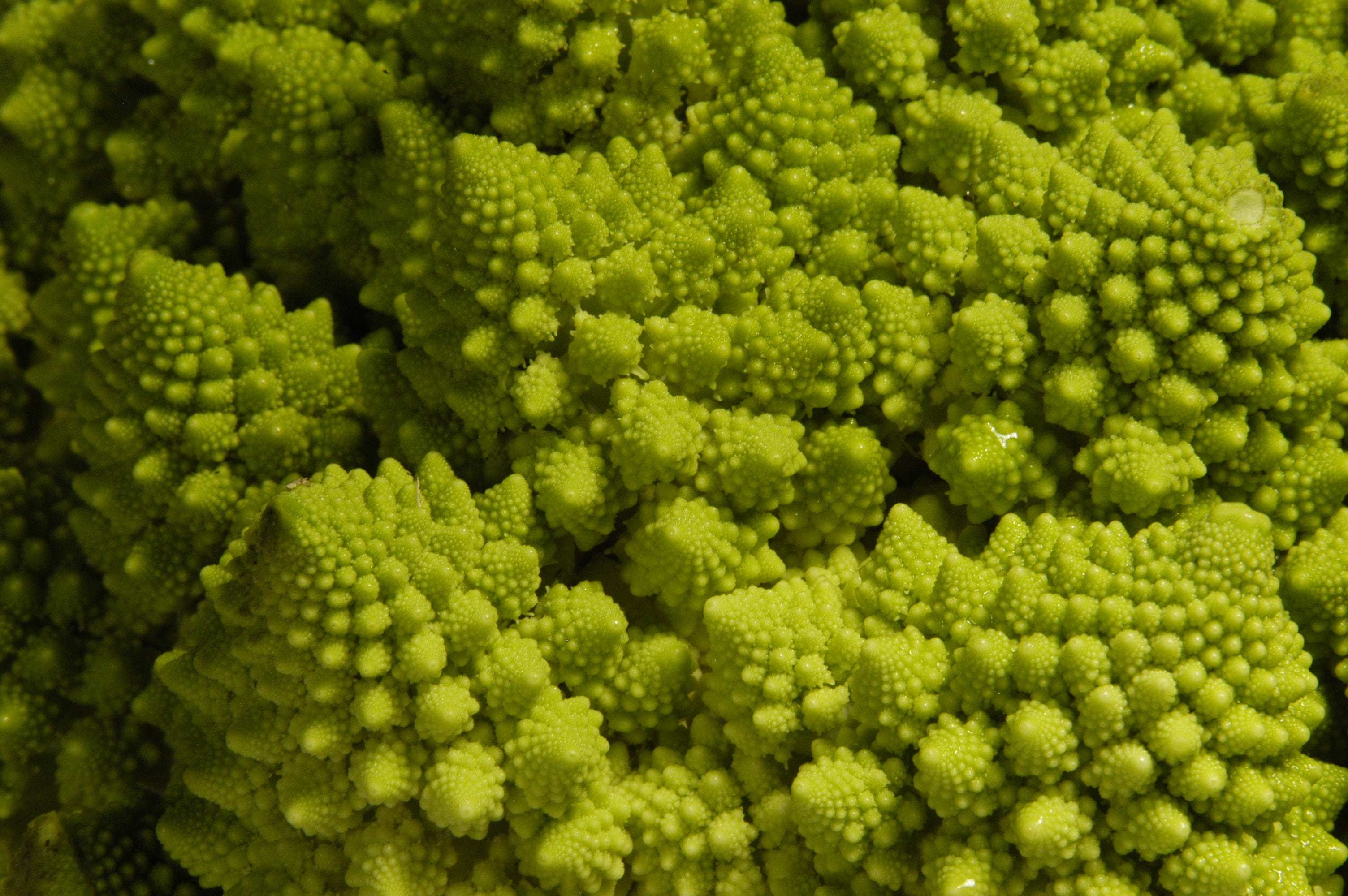 natural phenomenon, cauliflower, broccoli, wellbeing, geometric shape, food and drink, close-up, roman cabbage, vegetables, no people, green, green color, HD Wallpaper