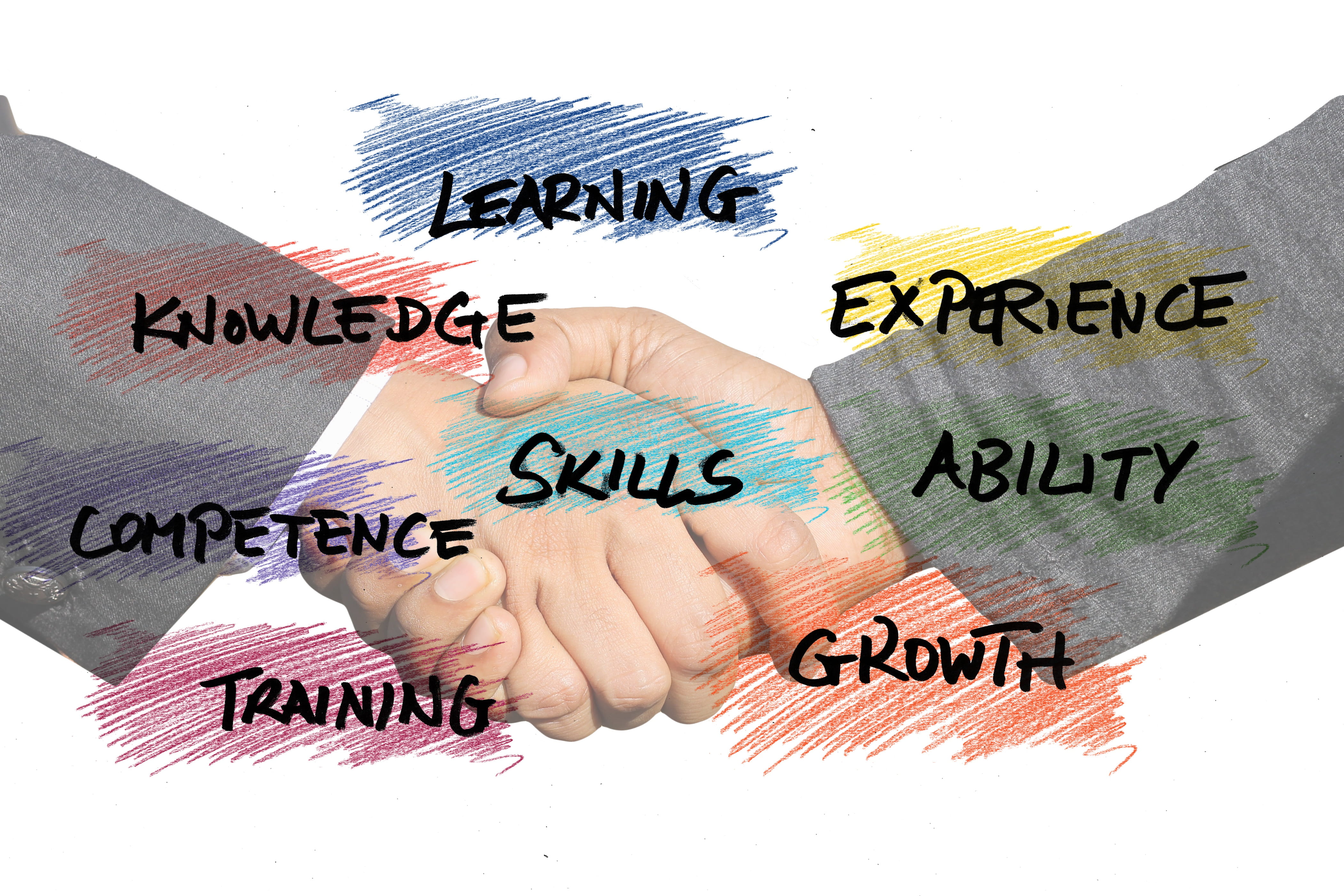 professionalism, performance, know, science, show, can, company, direction, innovation, start up, experience, selection, paper, concept, plan, message, HD Wallpaper