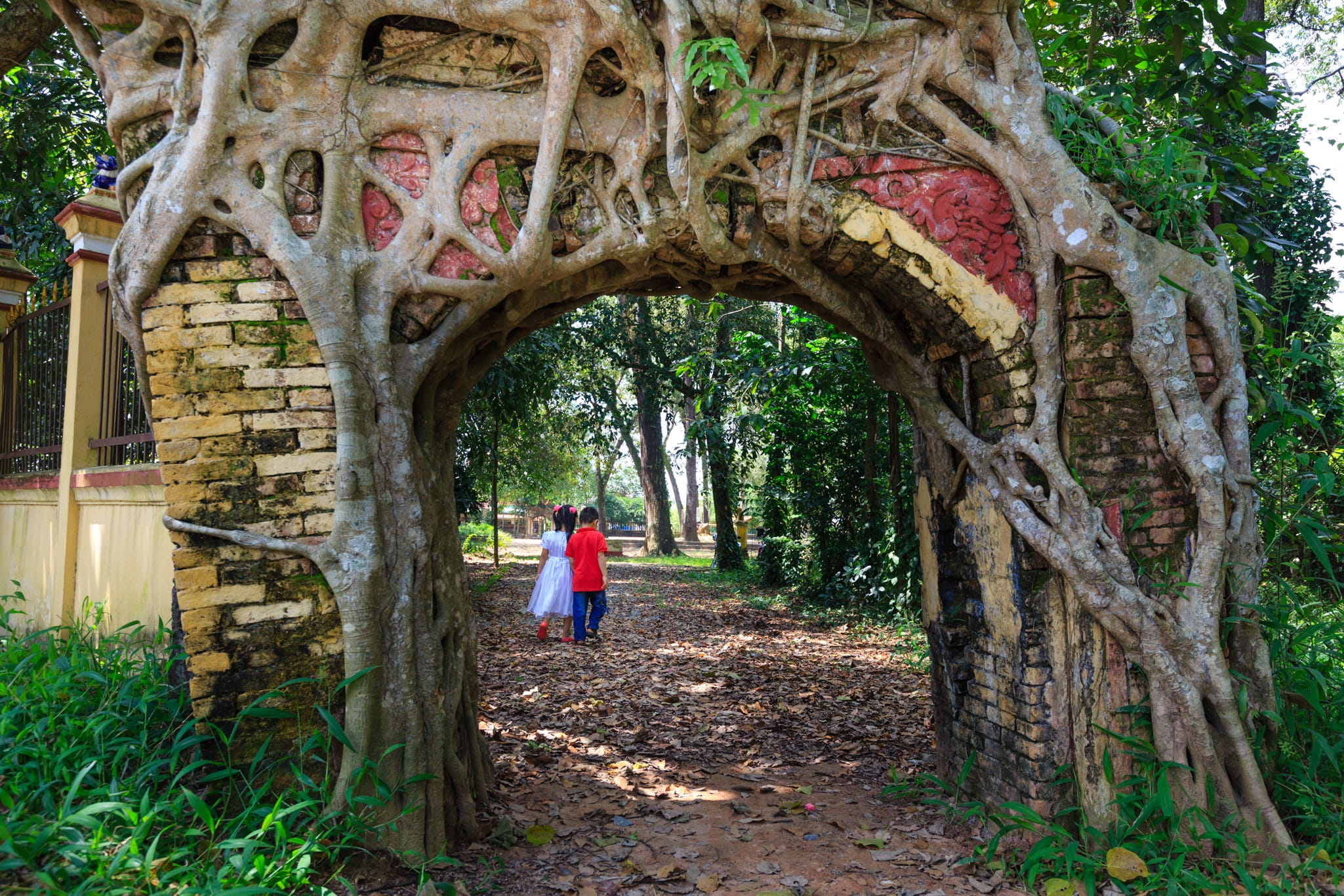 tree, door, plant, real people, renovated, place of origin, window, source, rubble, day, one person, lifestyles, leisure activity, repair, tiles, error, HD Wallpaper