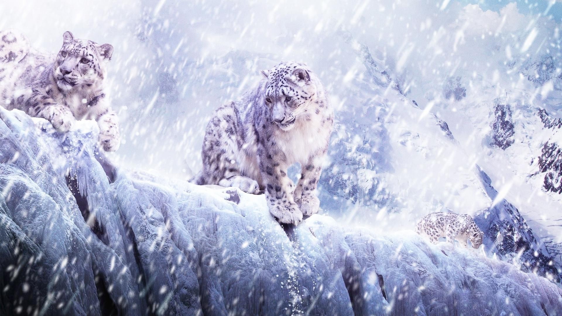 ice, one animal, leopard (animal), animal themes, environment, icicle, frozen, snow, animal wildlife, beauty in nature, no people, snowing, animal, water, HD Wallpaper
