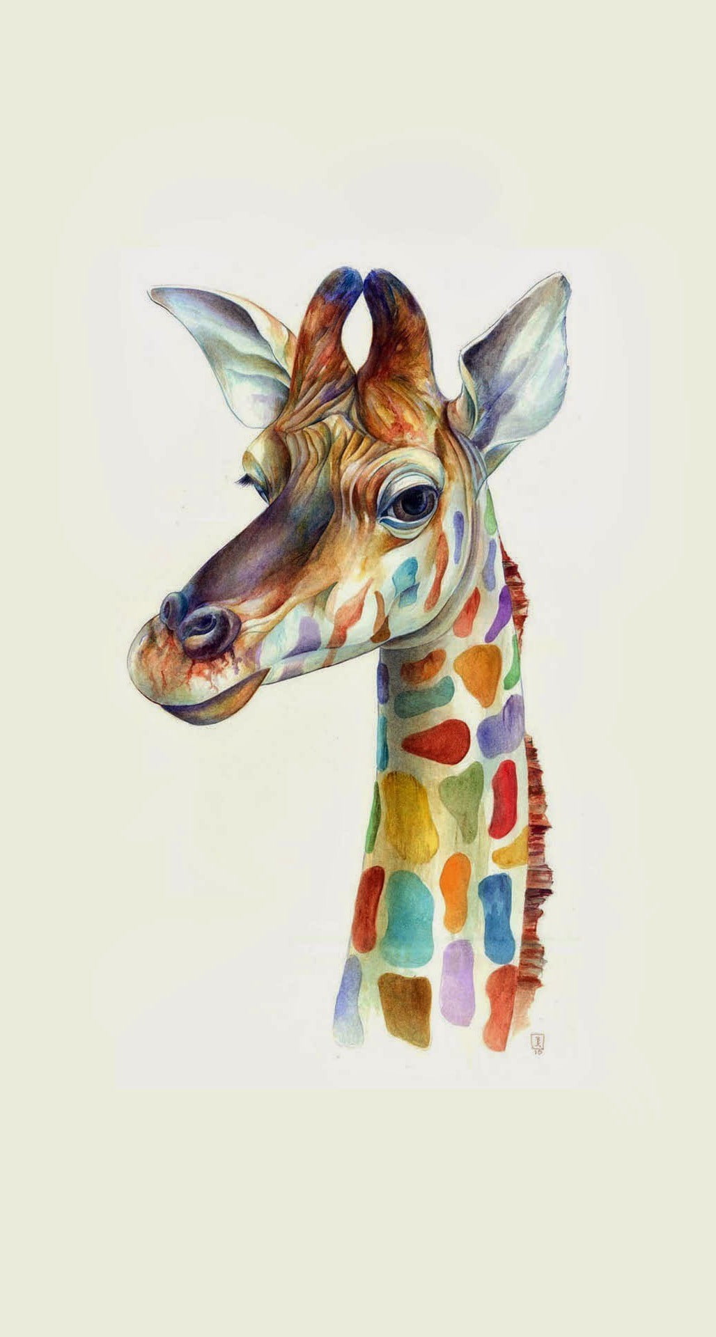 digital art, domestic animals, illustration, no people, fun, colorful, studio shot, animal body part, animals, mammal, small, humor, 1080P, indoors, creativity, Phone HD Wallpaper