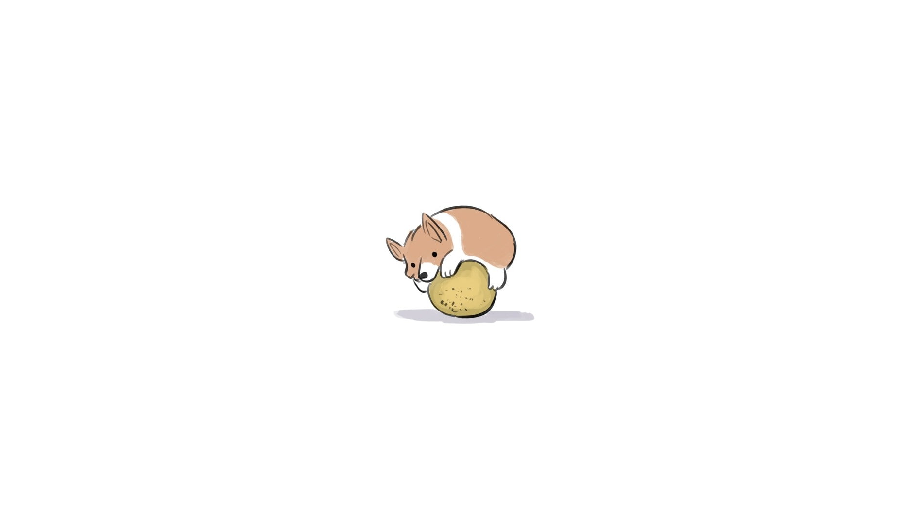 Corgi, animals, Pembroke Welsh Corgis, white background, 720P, dog, humor, artwork, minimalism, HD Wallpaper
