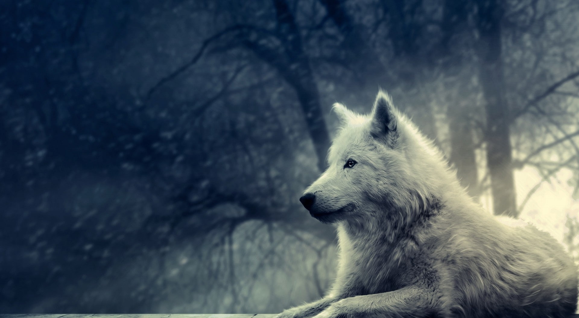 pets, nature, looking away, vertebrate, Wolf, canine, animal themes, focus on foreground, one animal, winter, white wolf, Fantasy, Artwork, Painting, tree, HD Wallpaper
