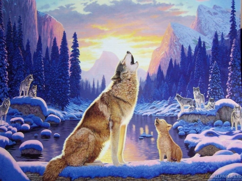 wolf pup, 480P, animals, hd, art, rock, sing, learning, wolf, wood, HD Wallpaper