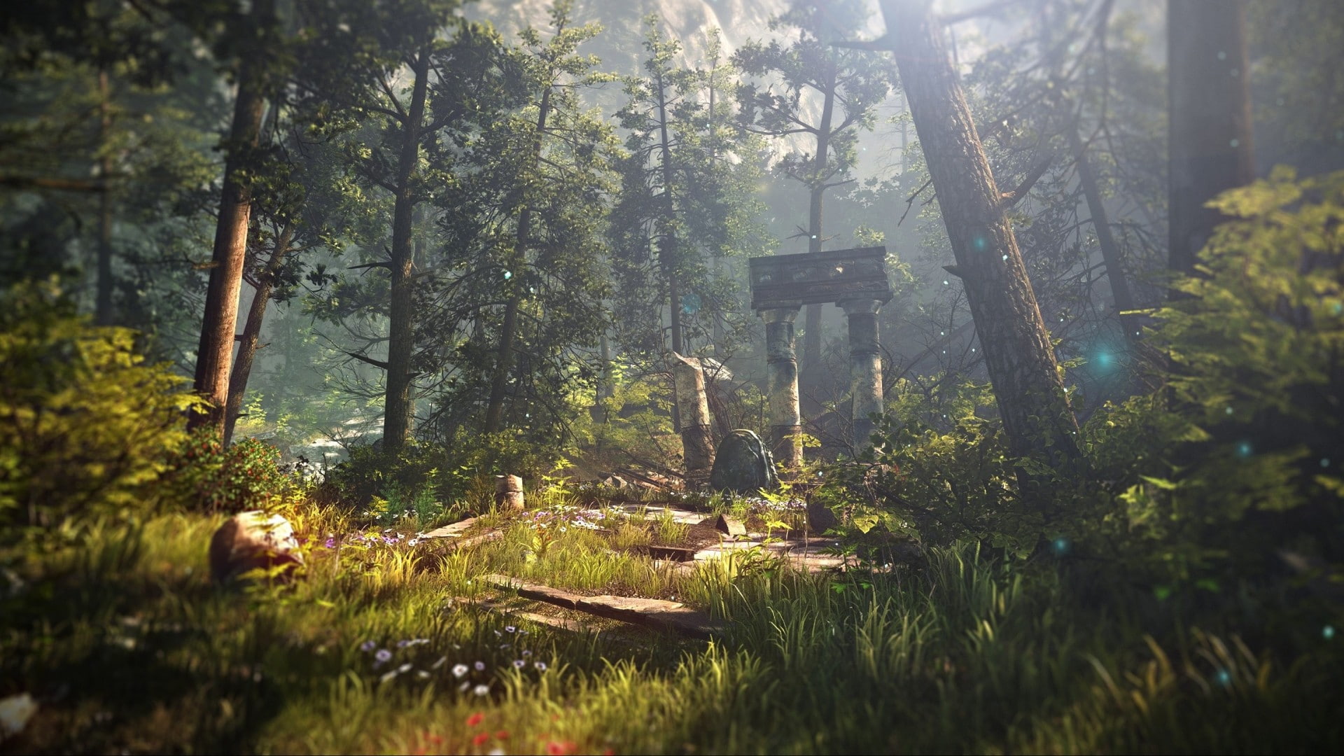 The Witcher 2 Assassins of Kings, forest, The Witcher, 1080P, video games, nature, HD Wallpaper