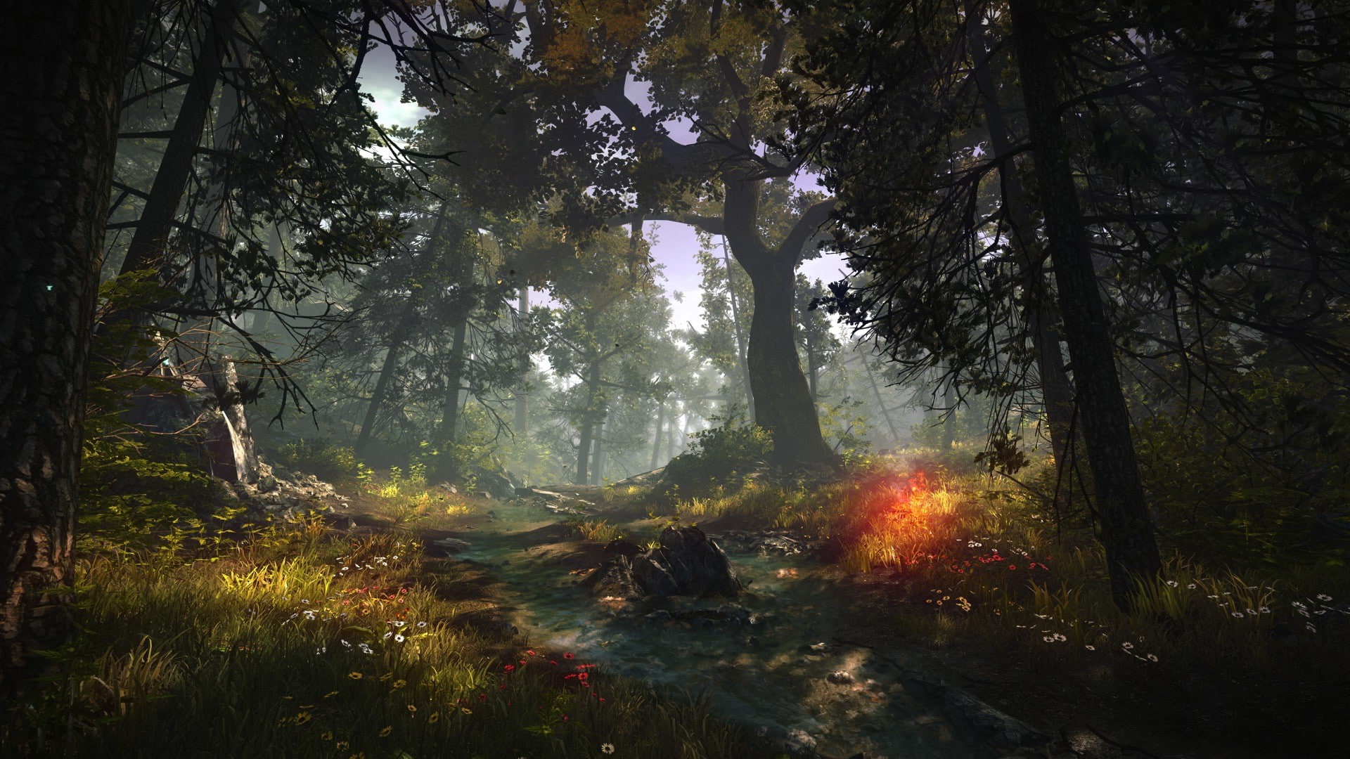 The Witcher 2 Assassins Of Kings, tranquil scene, screenshots, land, growth, plant, sunlight, trunk, forest, outdoors, beauty in nature, field, non-urban scene, HD Wallpaper