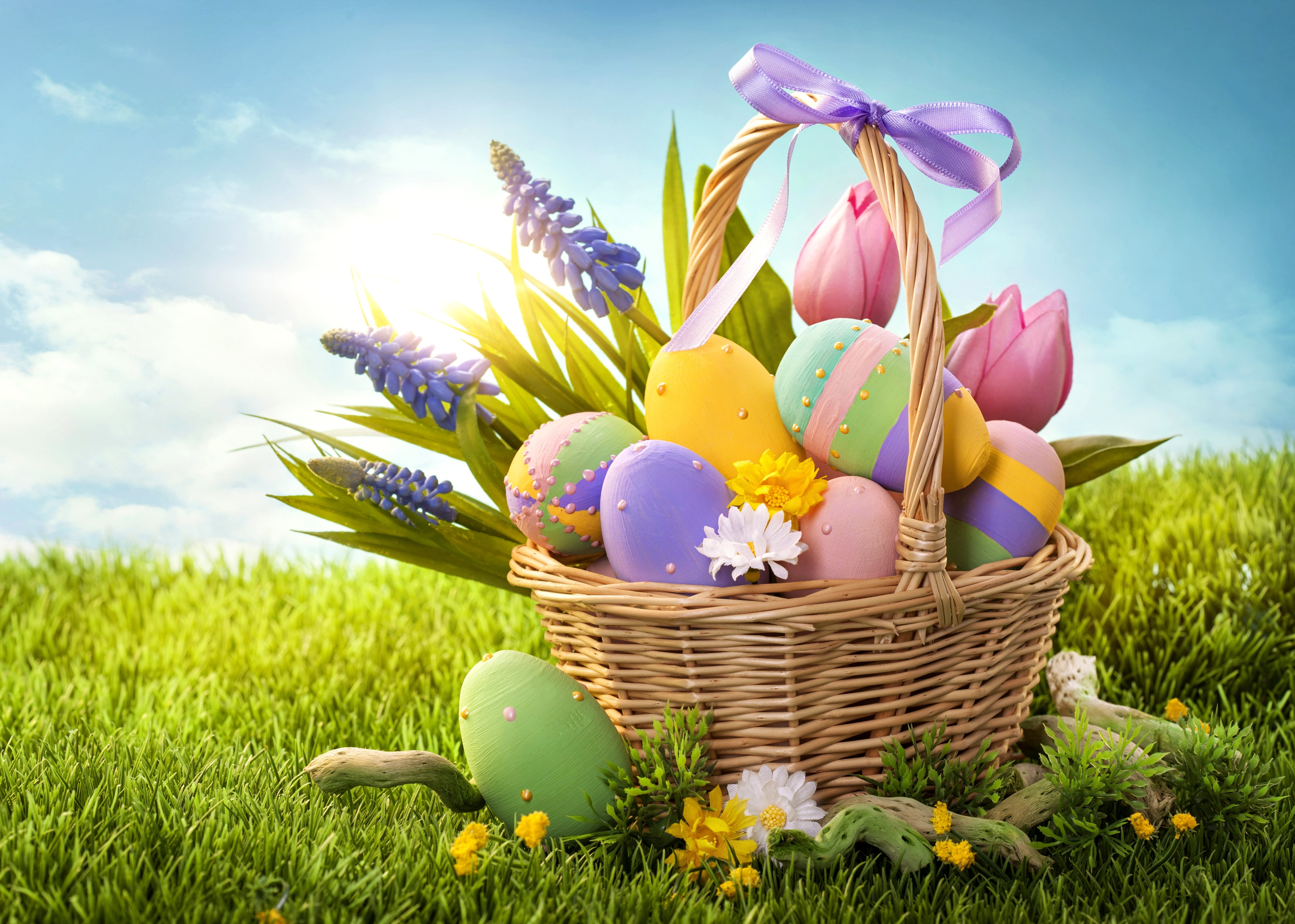green Color, summer, decoration, season, blue, brown, 5K, multi Colored, april, nature, easter Bunny, eggs, purple, freshness, meadow, white, animal Nest, HD Wallpaper