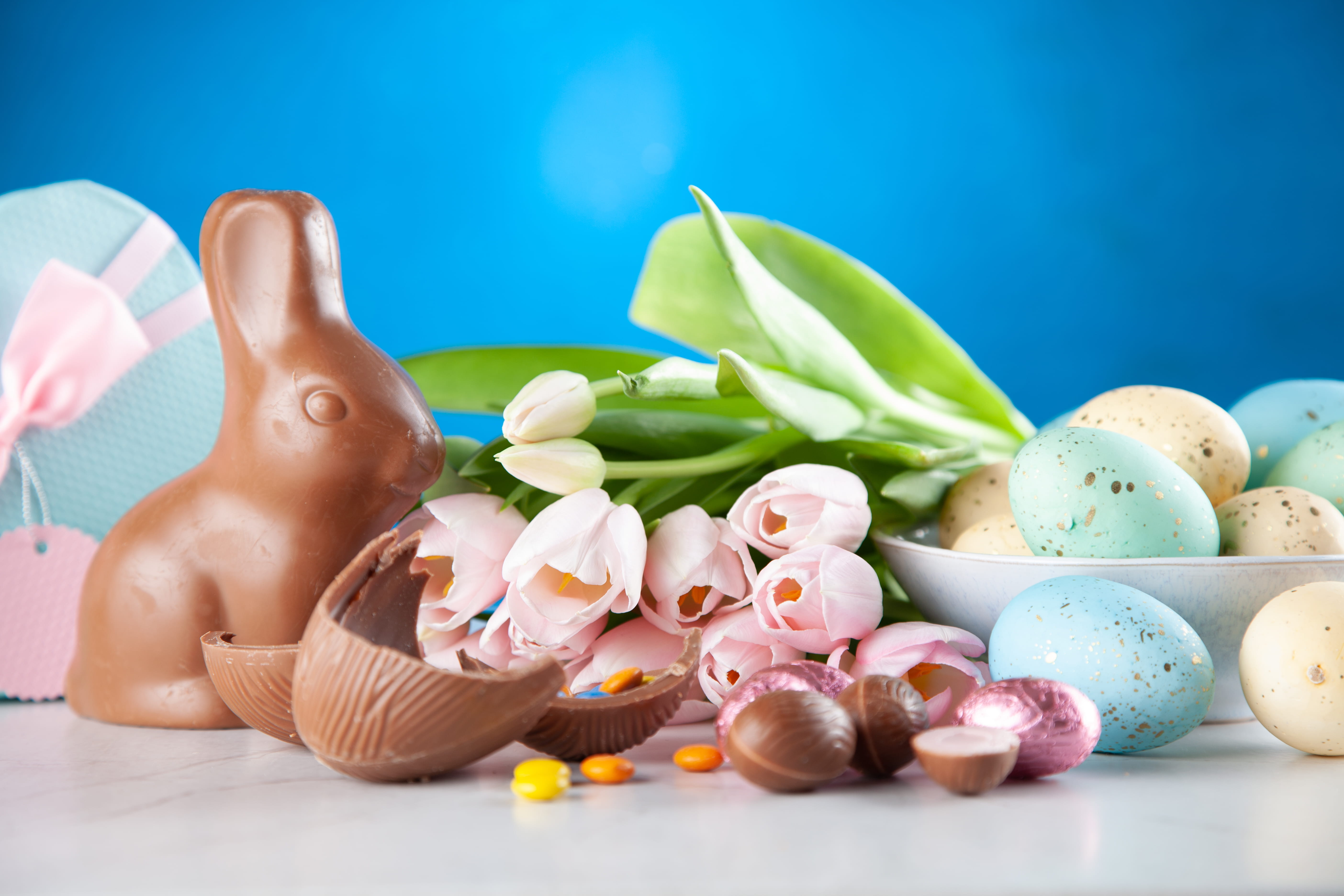 celebration, bunny, still life, sweet food, colors, temptation, indoors, chocolates, easter egg, candies, yummy, 5K, flowers, springtime, egg, greetings, HD Wallpaper