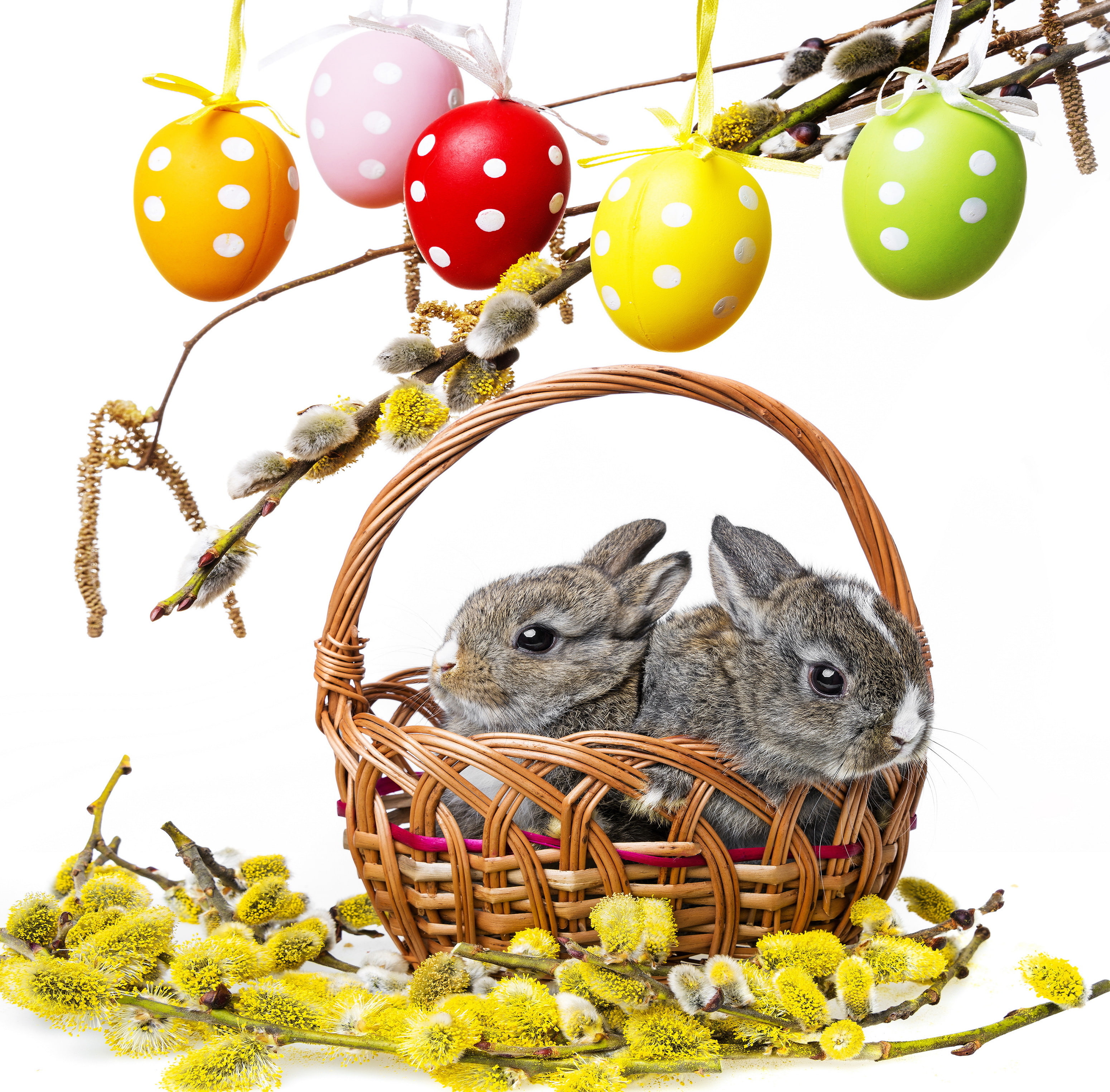 colorful, willow twig, branches, rabbit, spring, decoration, bunny, rabbits, painted eggs, Easter, flowers, Verba, eggs, 2K, basket, HD Wallpaper