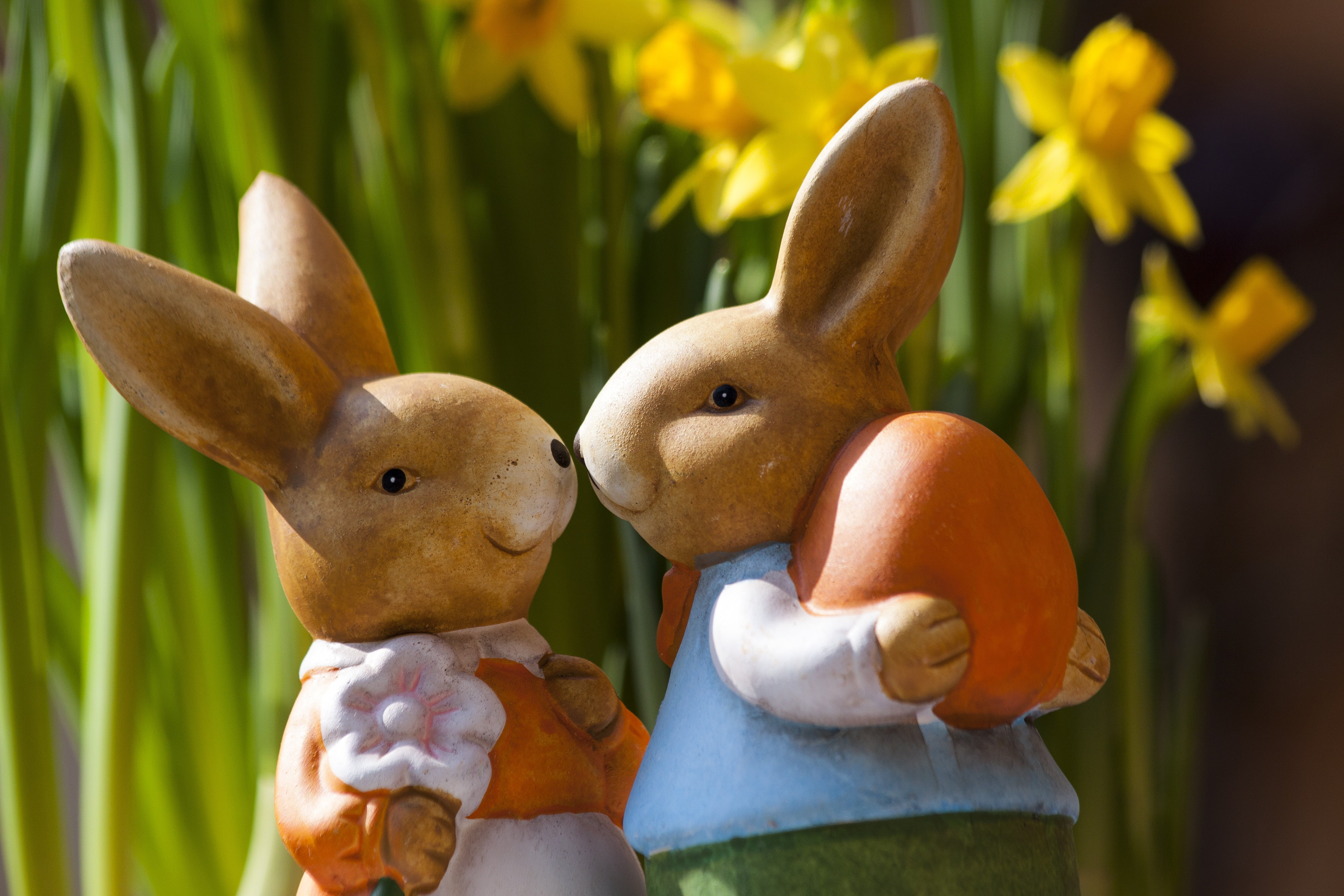 animal, cute, easter Bunny, easter egg, cultures, outdoors, close-up, creativity, baby Rabbit, egg, mammal, decoration, season, toy, multi Colored, green Color, HD Wallpaper