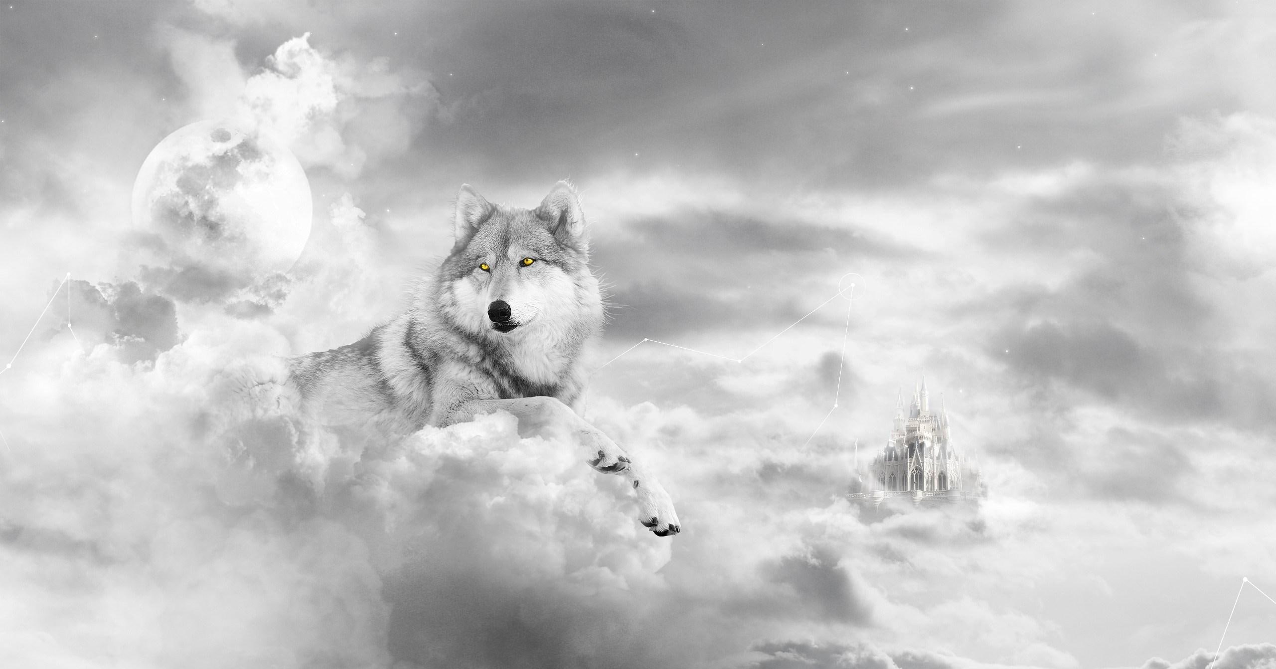 wolf, clouds, abstract, white, fantasy, 2K, animals, canis lupus, wild animals, black, HD Wallpaper