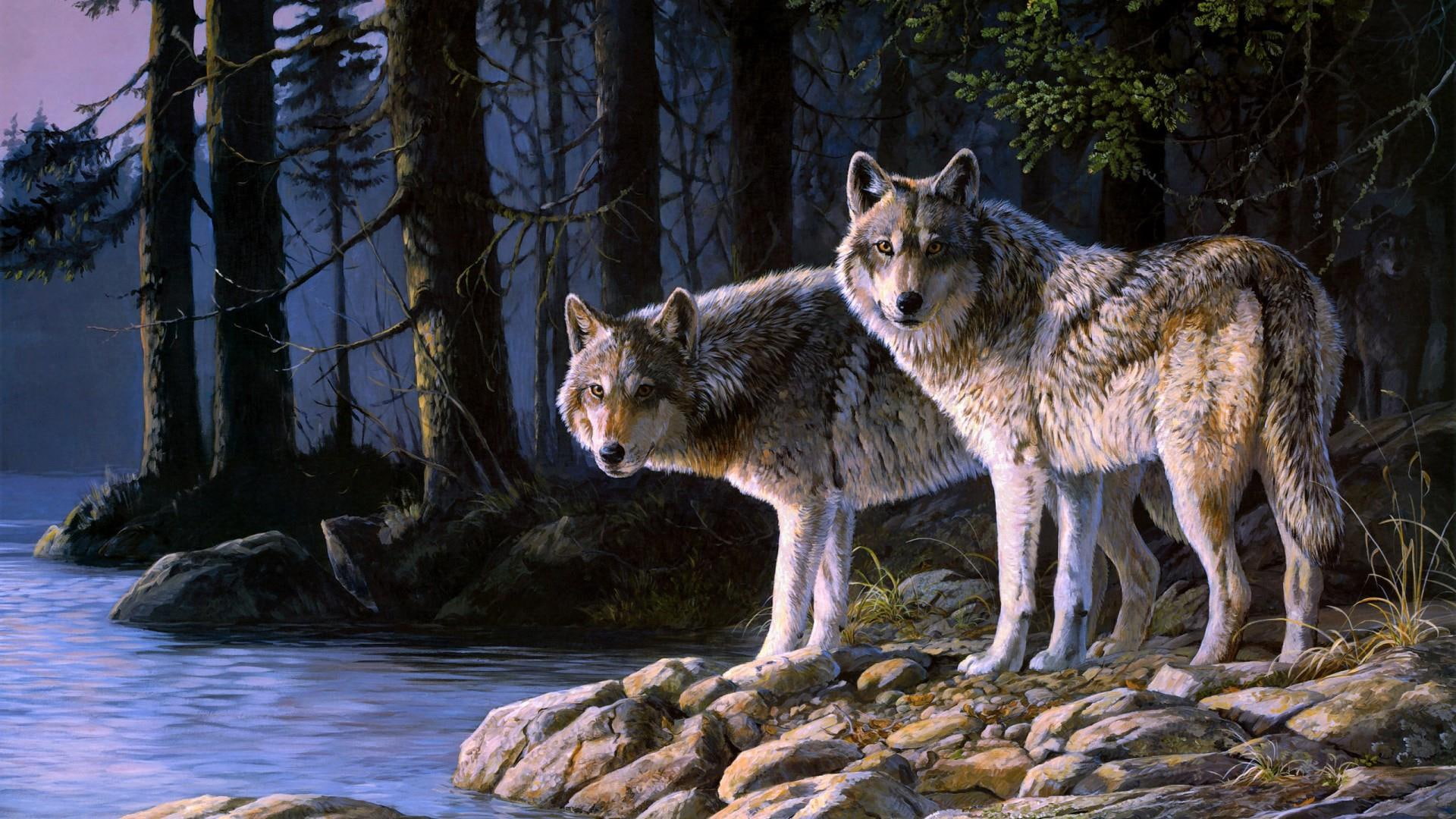 forest, wolves, 1080P, painting, wolf, HD Wallpaper