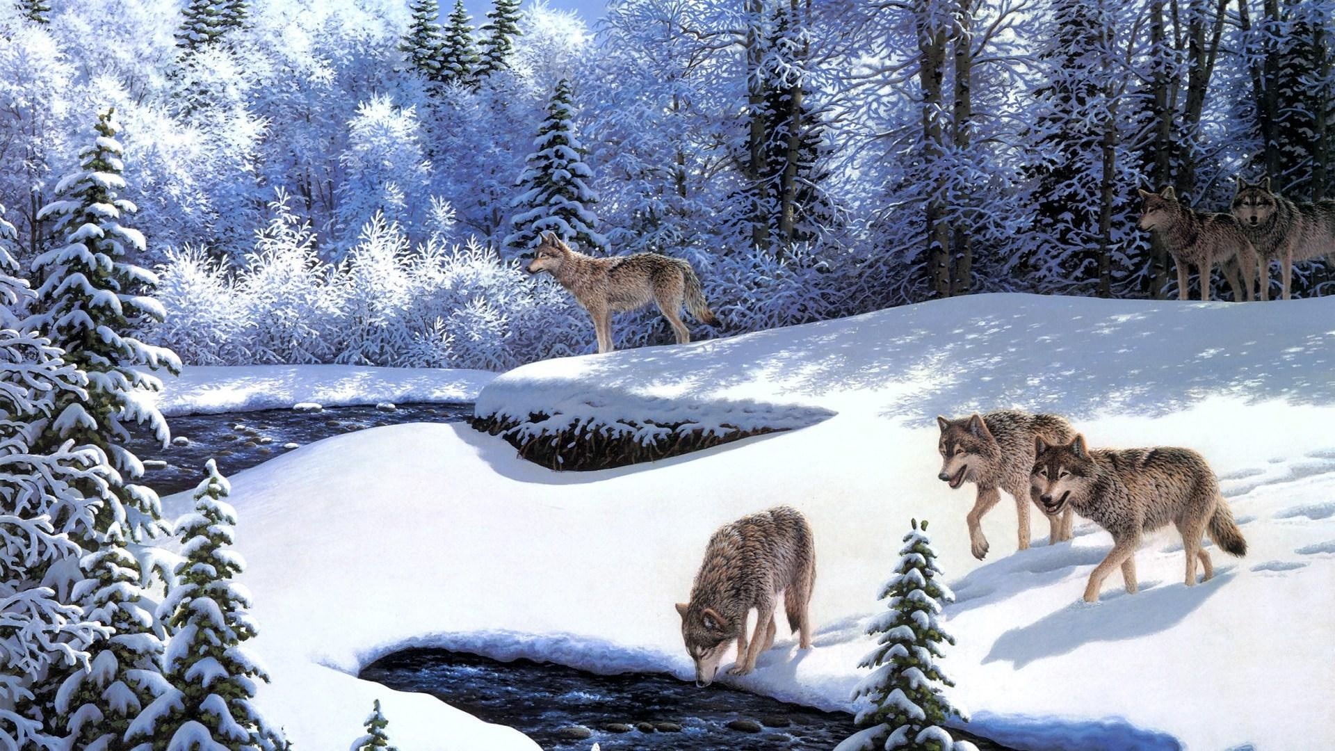 hills, wolves, winter, pack, outdoors, family, beautiful, mountains, white, trees, lake, beauty, 1080P, HD Wallpaper