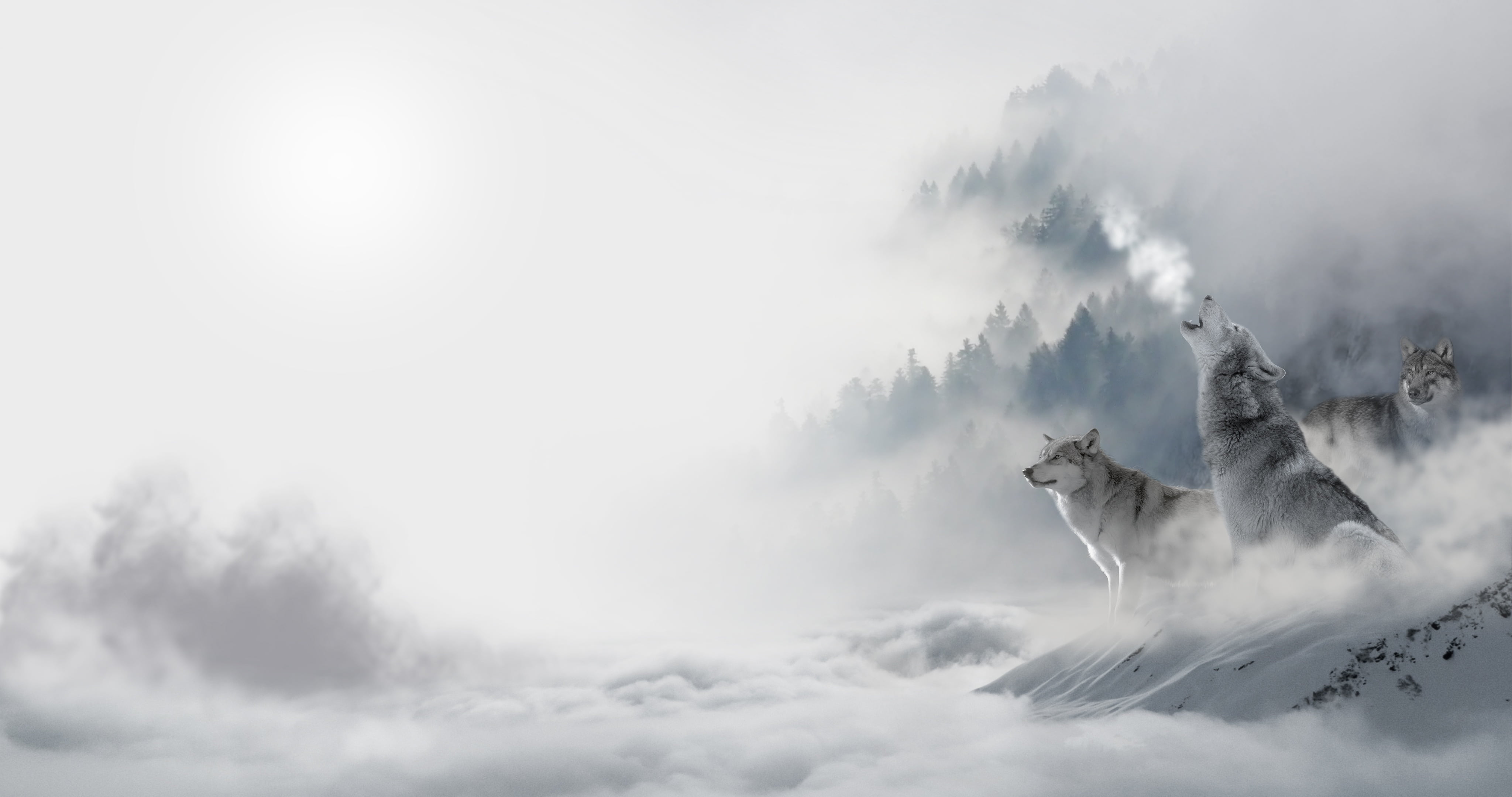 flying, low angle view, animal, one animal, ice, bird, predators, mammal, sky, iceberg - Ice Formation, cloud - Sky, snow, carnivore, softness, fantasy, HD Wallpaper