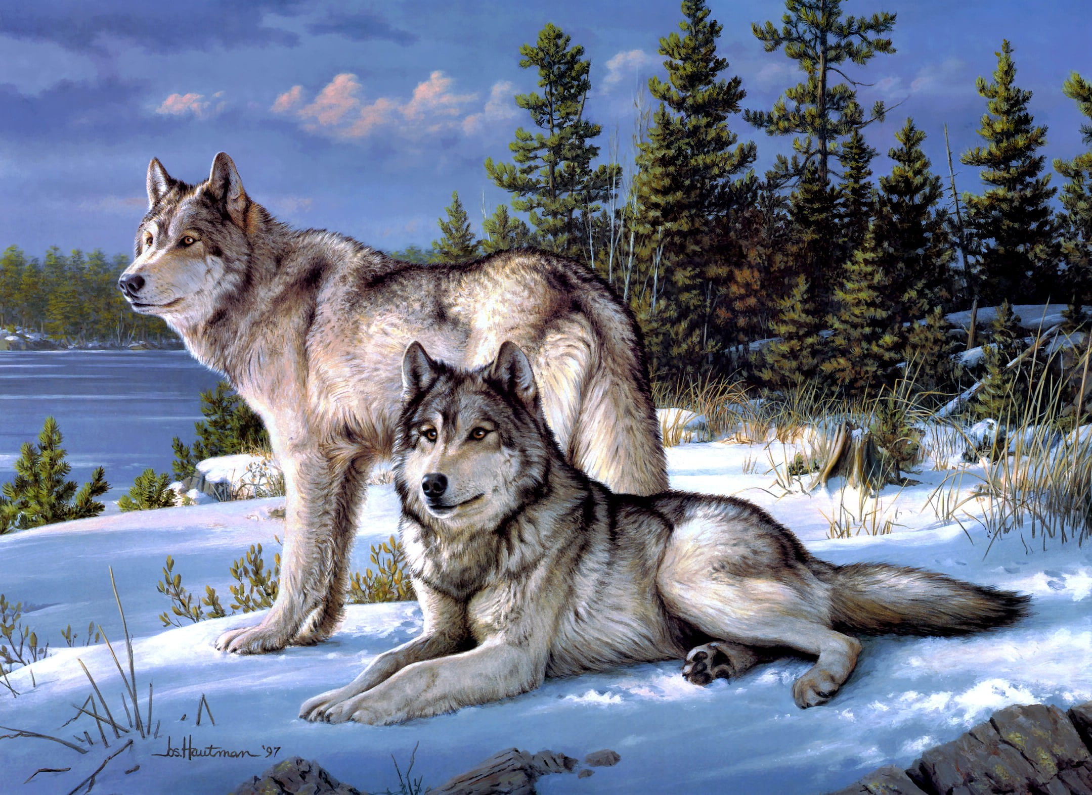 two, two Animals, Joseph Hautman, pawed Mammal, blue, pets, outdoors, carnivore, no people, black, natural Land State, dog, one Animal, looking, irish Wolfhound, HD Wallpaper