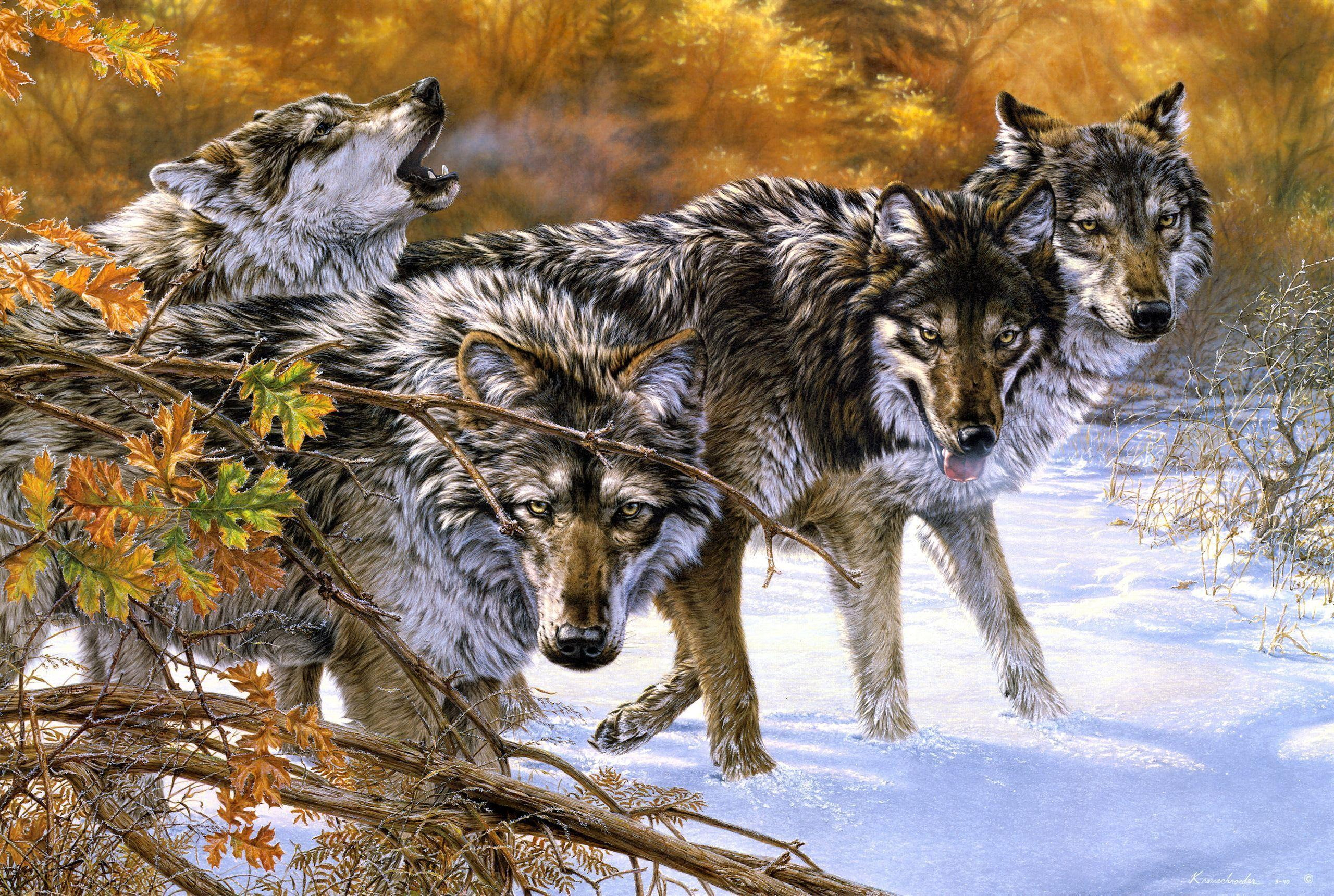 brown, language, painting, body, gray, animals, artistic, four, 2K, black, wolves, wild, HD Wallpaper