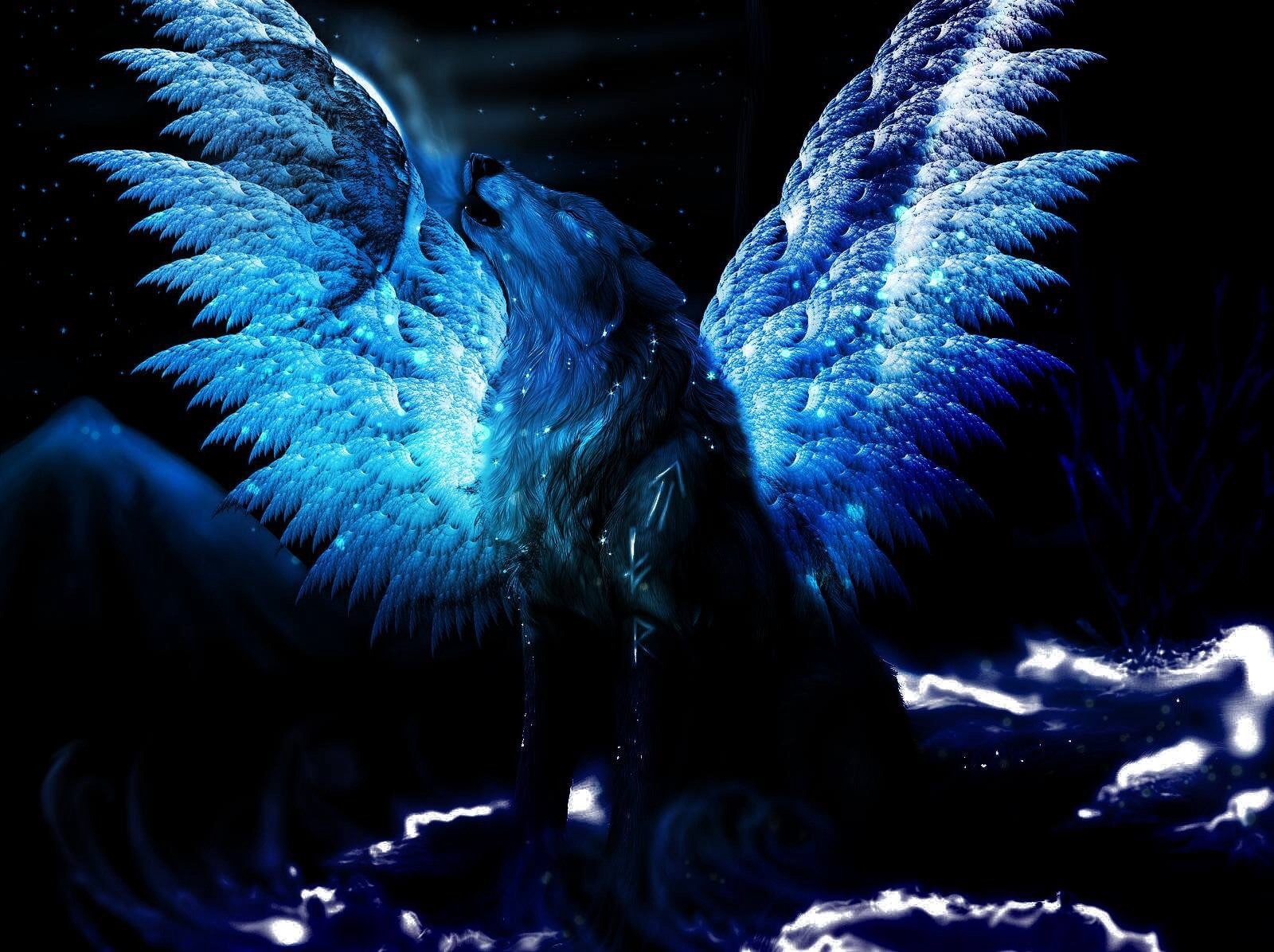 Fantasy Animals, Wolf, 720P, HD Wallpaper