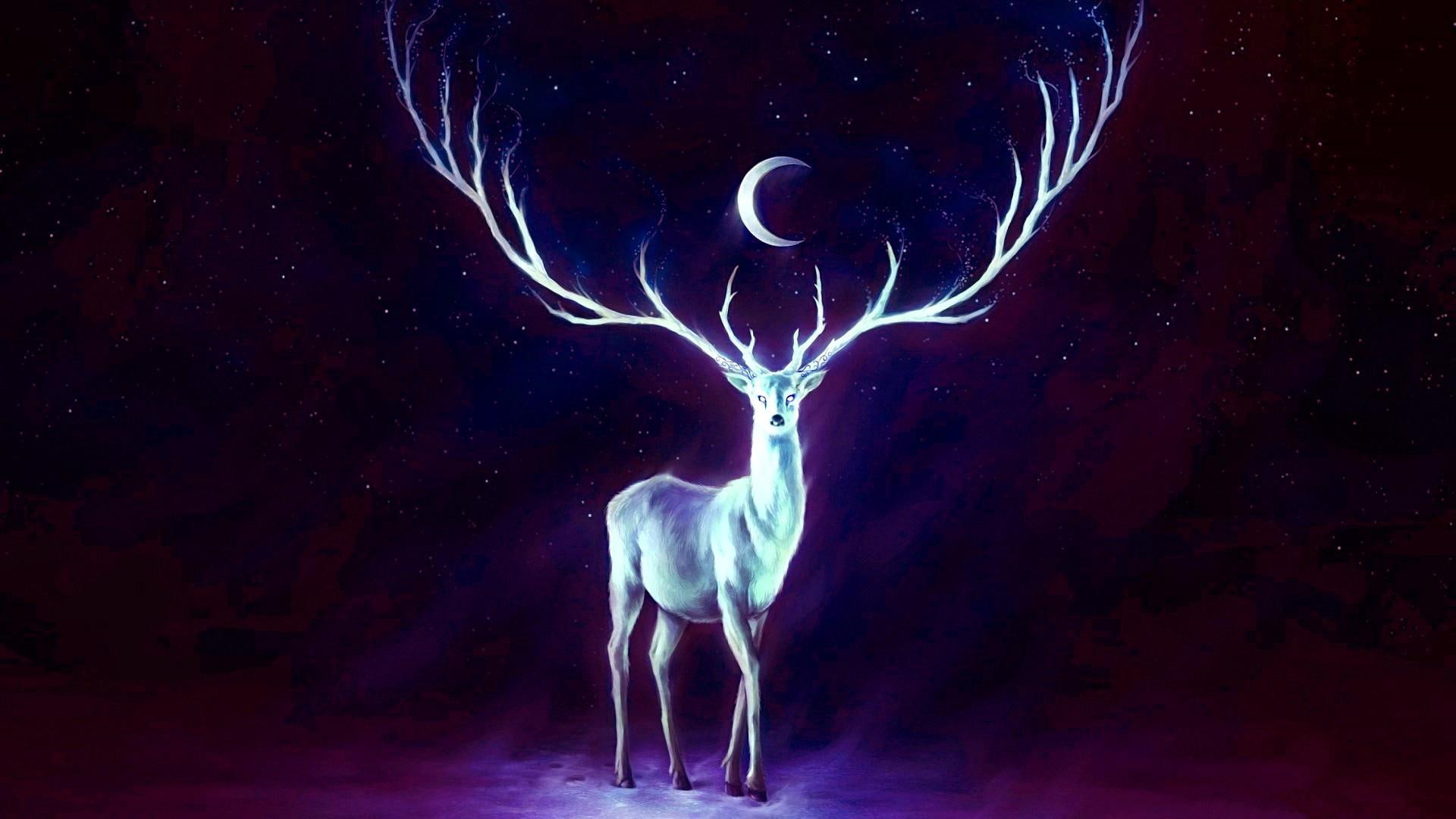 painting, magic, deer, moon, stars, fantasy, 1080P, HD Wallpaper