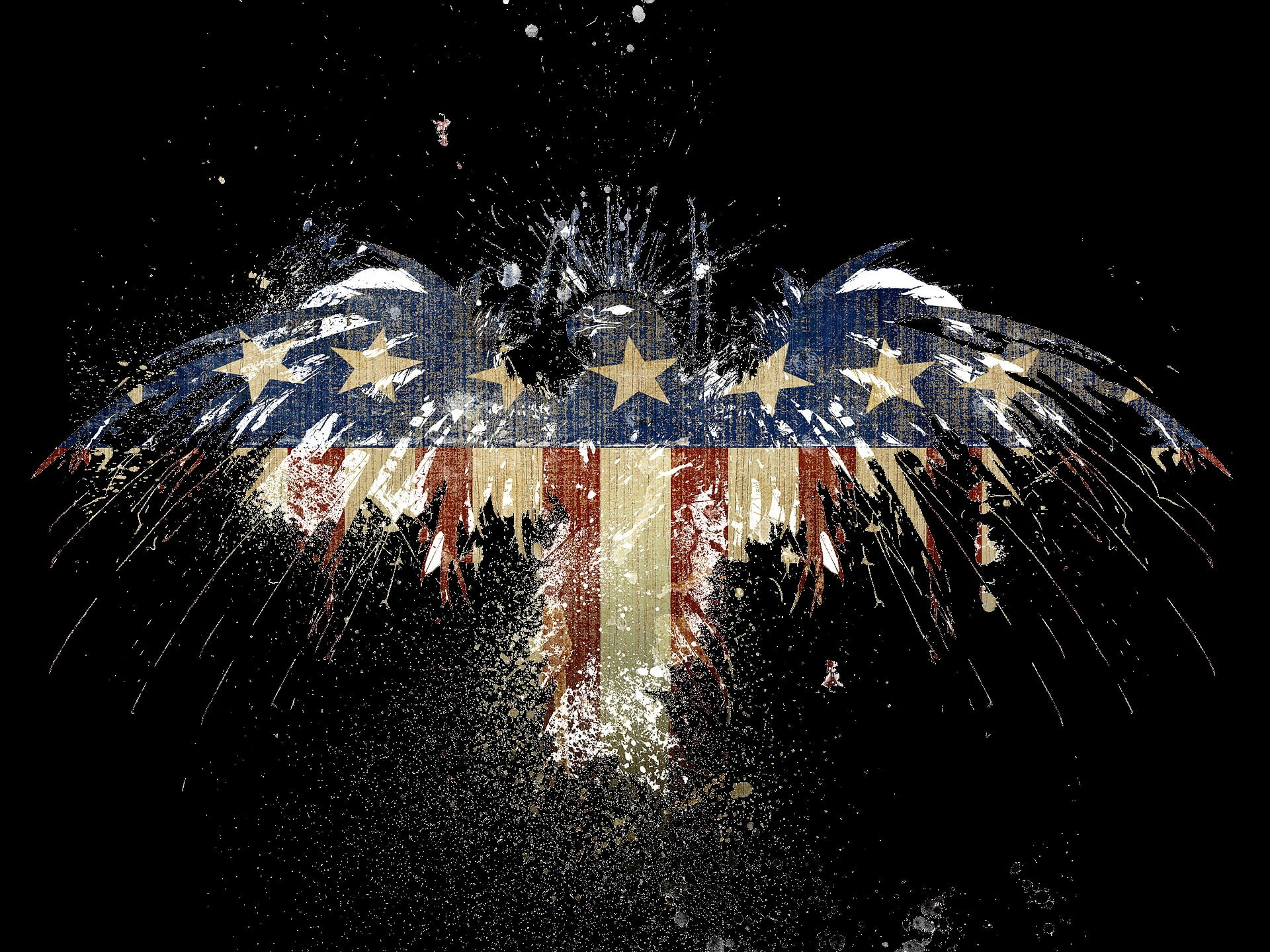 event, united, flag, spraying, night, grunge, black, nature, firework - man made object, black background, eagle, light, arts culture and entertainment, HD Wallpaper