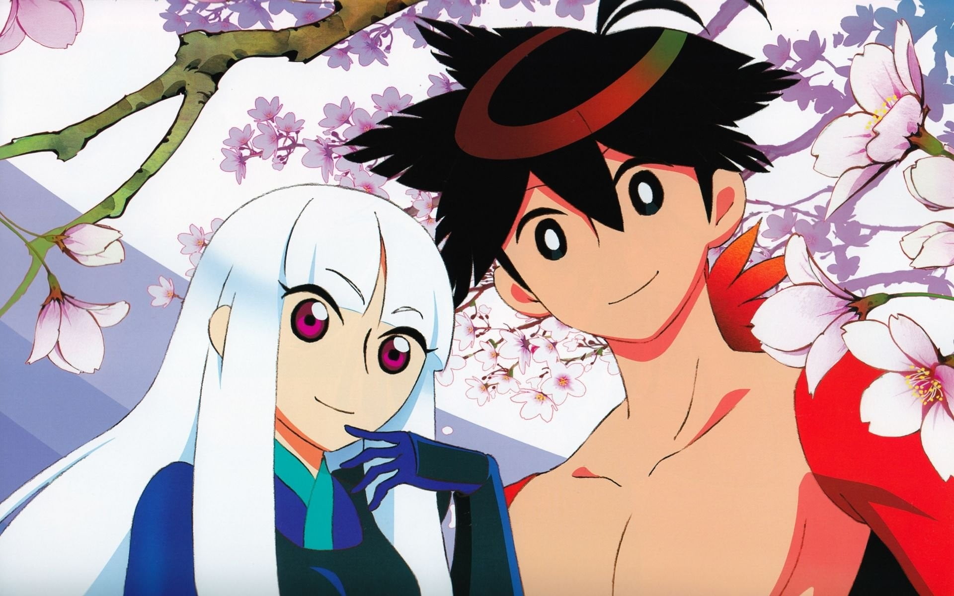 white, owl, Katanagatari, two, Togame, multi colored, still life, outdoors, nature, flowering plant, 1080P, no people, Yasuri Shichika, close-up, toy, HD Wallpaper