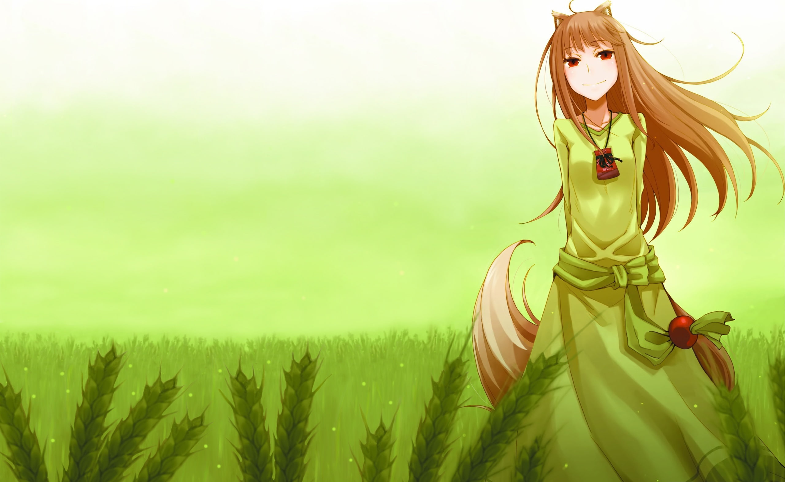character, representation, day, Artistic, yellow, Anime, 2K, freshness, human representation, belief, religion, land, Wolf, growth, green color, plant, HD Wallpaper