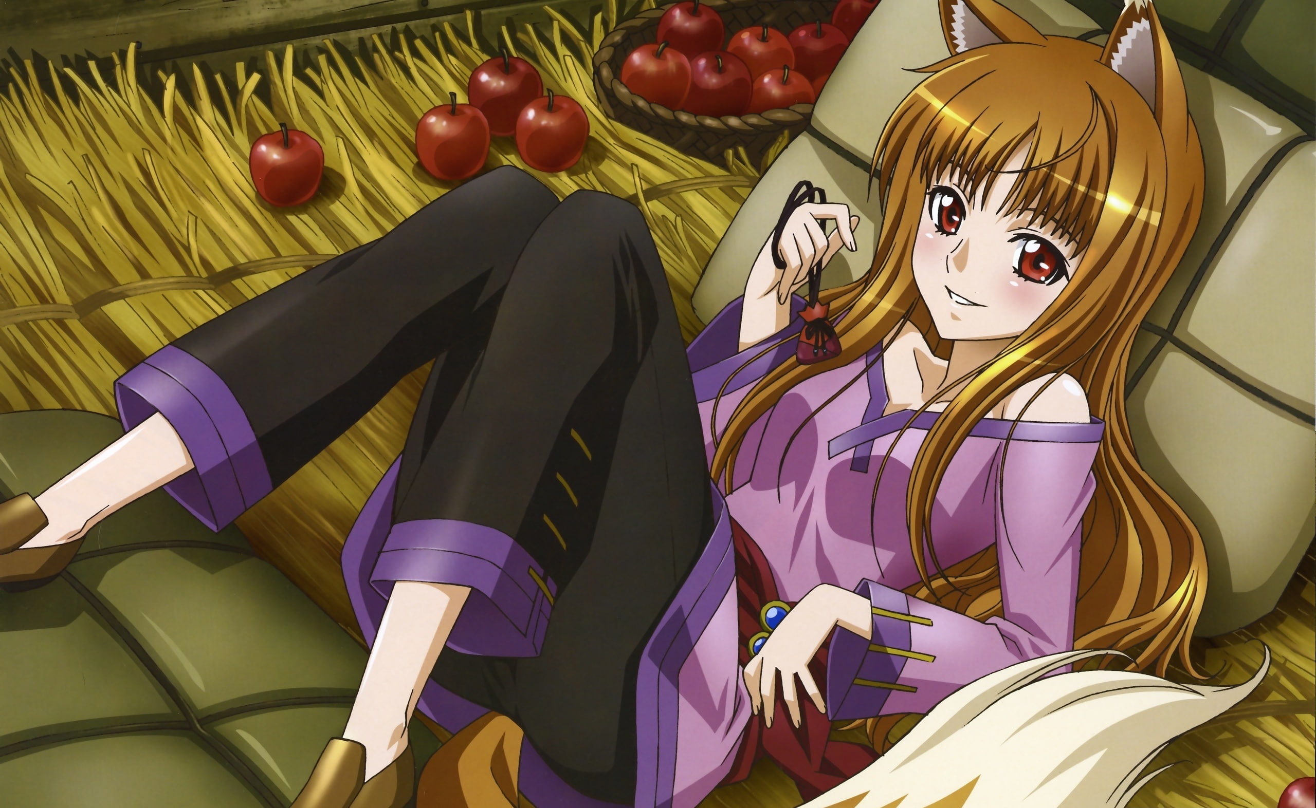 Wolf, choice, food and drink, Artistic, Spice, wolf, vegetable, multi colored, food, purple, day, 2K, textile, no people, indoors, pink color, HD Wallpaper