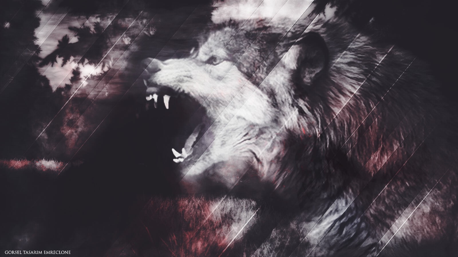 brown, nature, roaring, animal body part, animal, animal wildlife, negative emotion, animal head, cat, wolf, mammal, Lycan, lion - feline, domestic animals, HD Wallpaper
