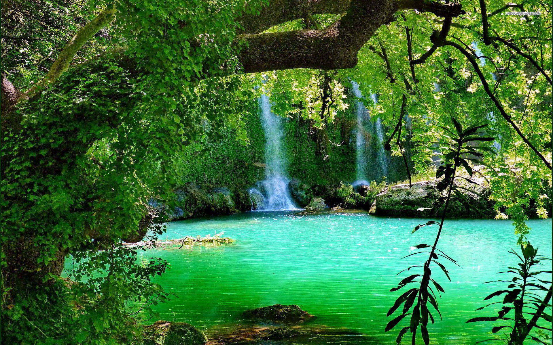  tree, waterfall, kur, turkey, green, antalya, water, desktop, hd, forest, 1080P, turquoise, km, unlu, HD Wallpaper