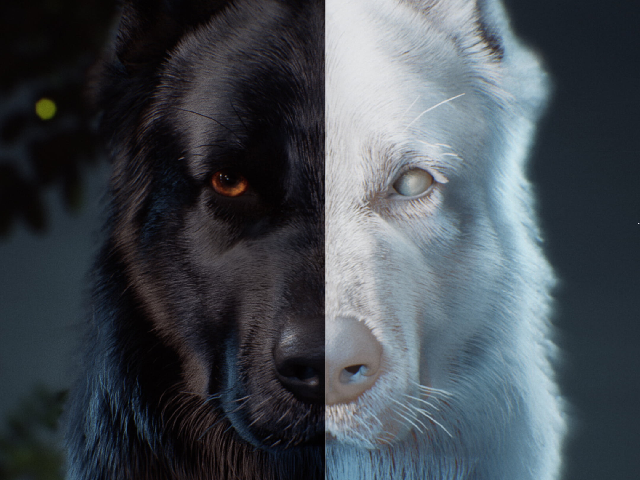 Wolf Link, 1080P, wolf ears, HD Wallpaper