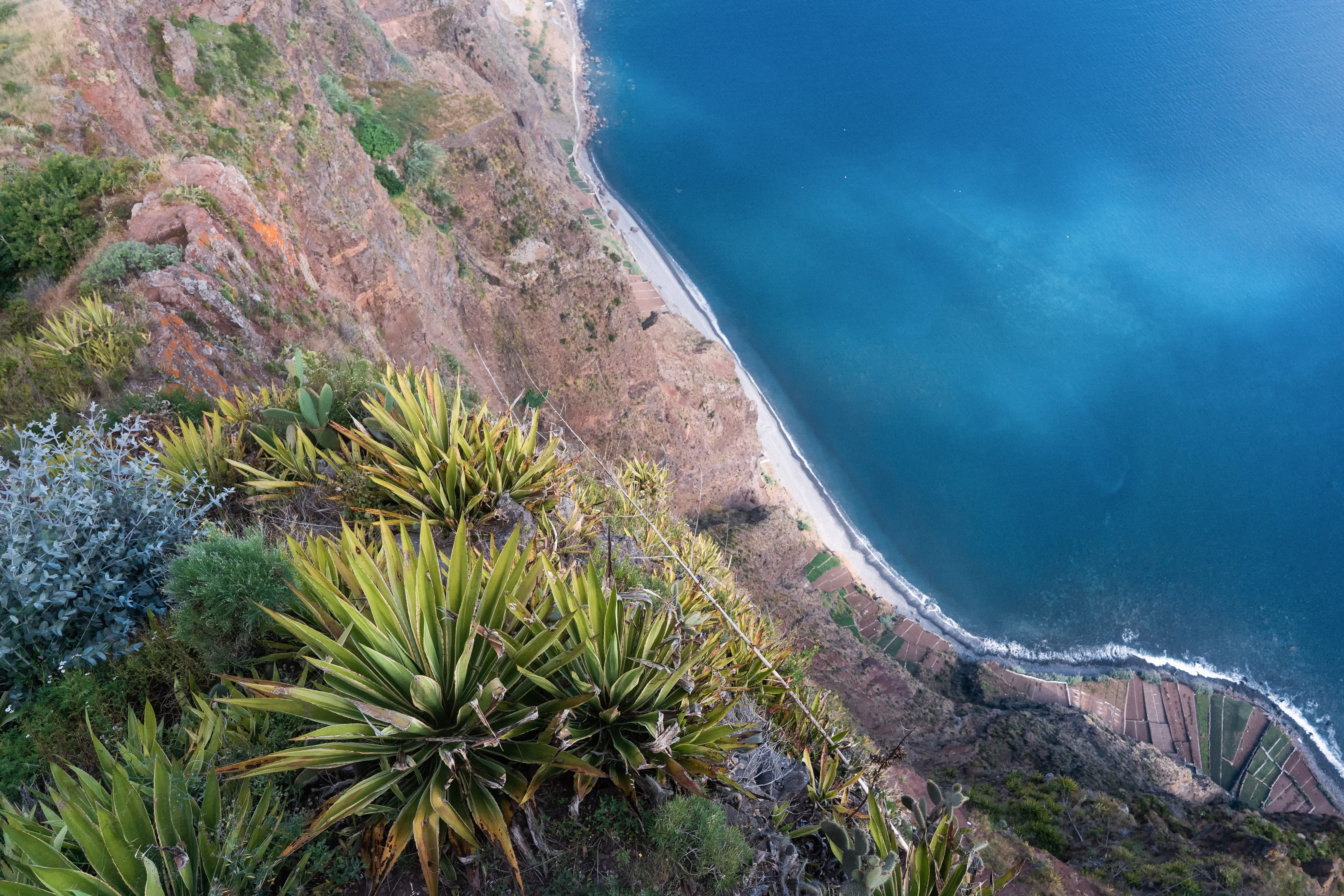 non-urban scene, nature, emptiness, portugal, beach, island, tree, sea, plant, cliff, environment, ocean, cabo girão skywalk, beauty in nature, tranquility, HD Wallpaper