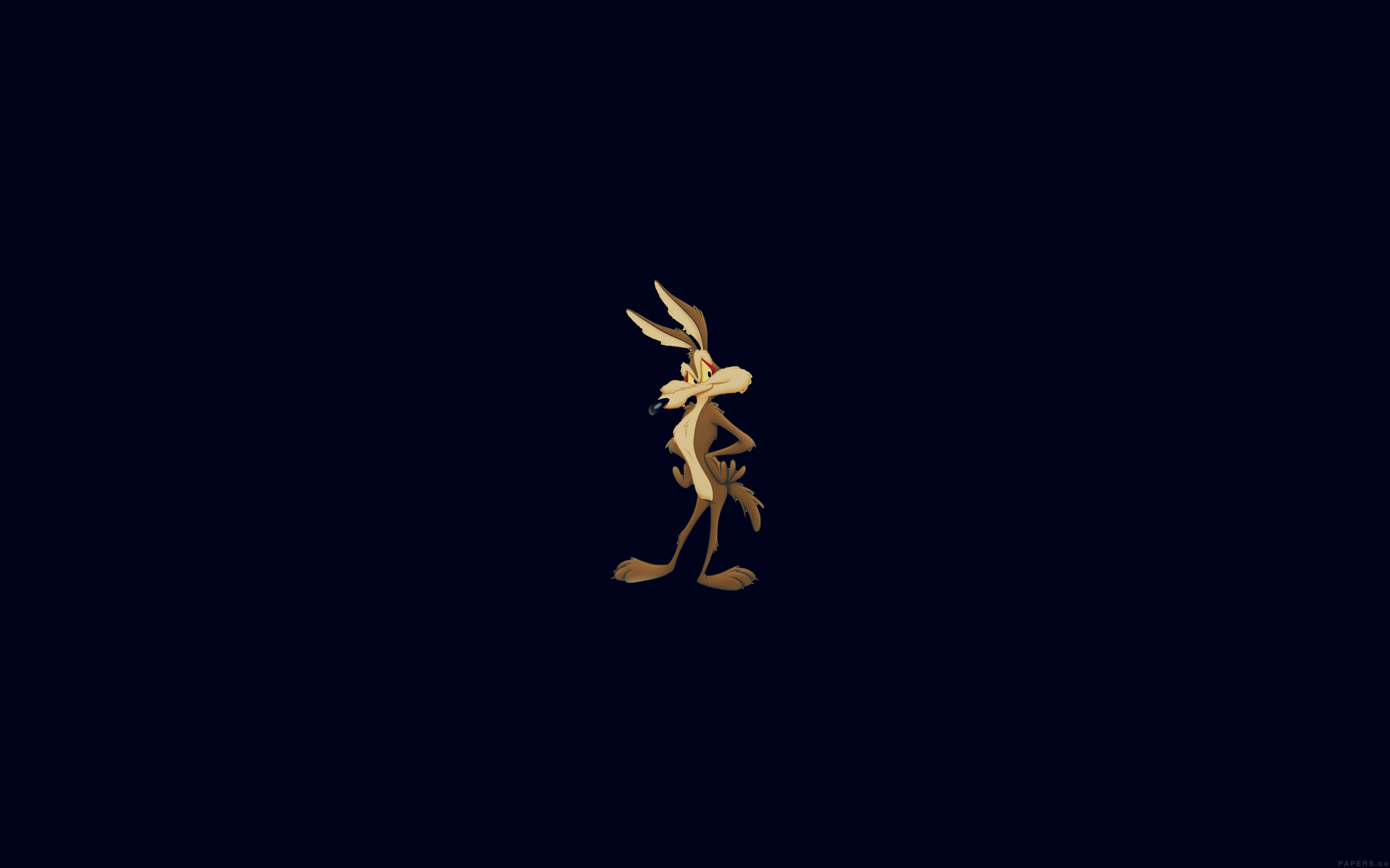 blue, flower, runner, cut out, nature, still life, close-up, art, animal, e, in, wile, no people, copy space, shape, black background, road, seed, creativity, HD Wallpaper