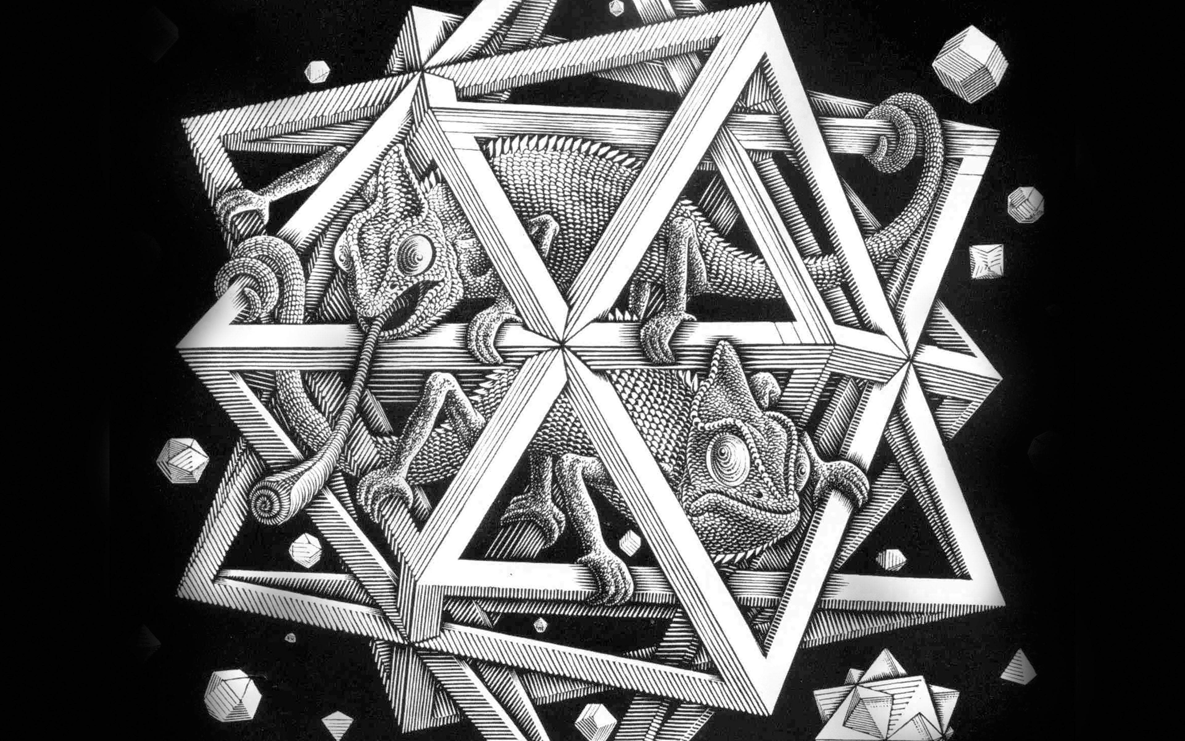 large group of objects, 4K, geometric shape, shape, space, lizard, art, illust, close-up, design, studio shot, escher, pattern, directly above, table, HD Wallpaper