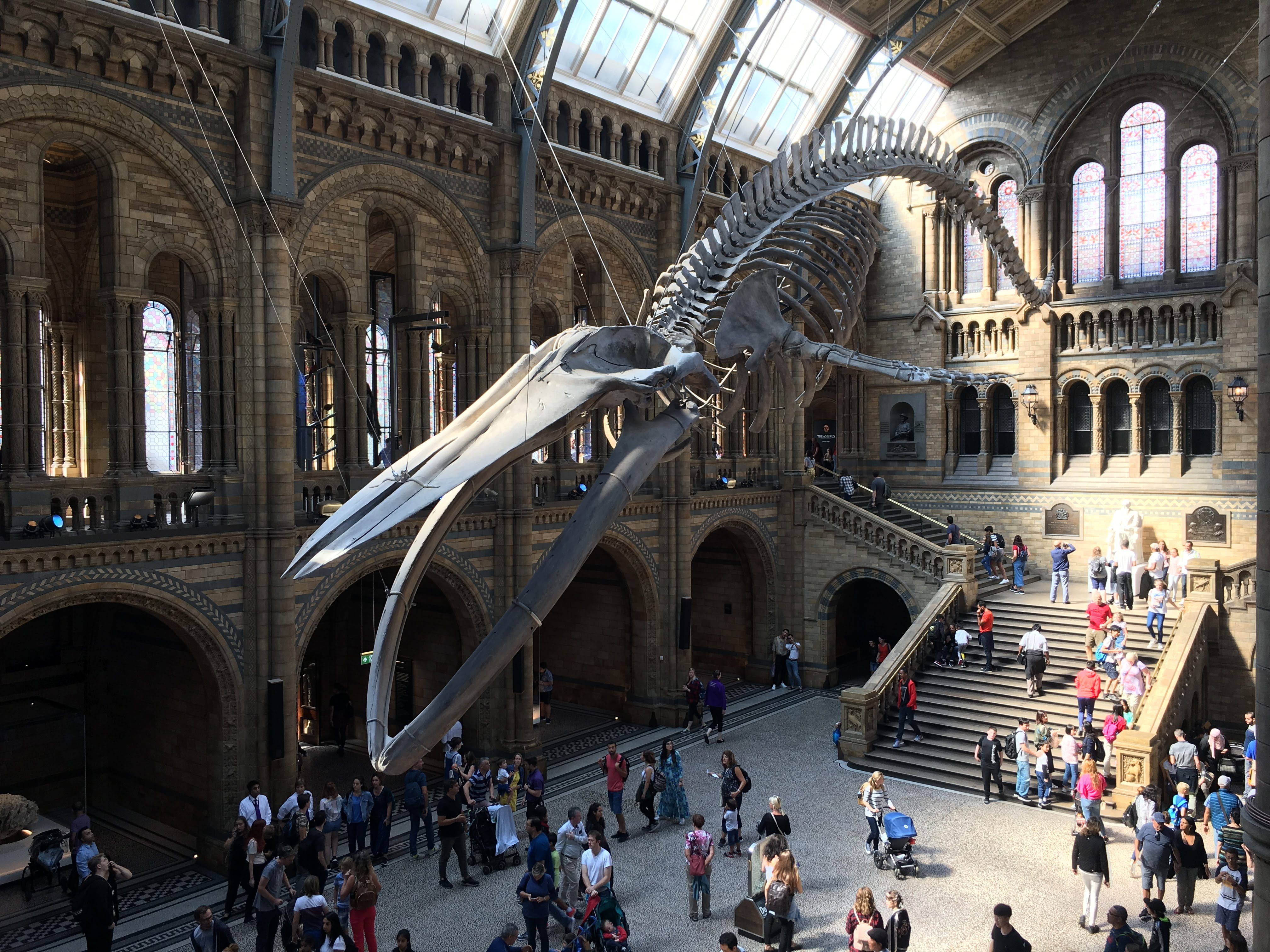 city, arch, building exterior, lifestyles, architectural column, dinosaur, tourism, greater london, built structure, 8 cromwell rd, the past, men, london, HD Wallpaper