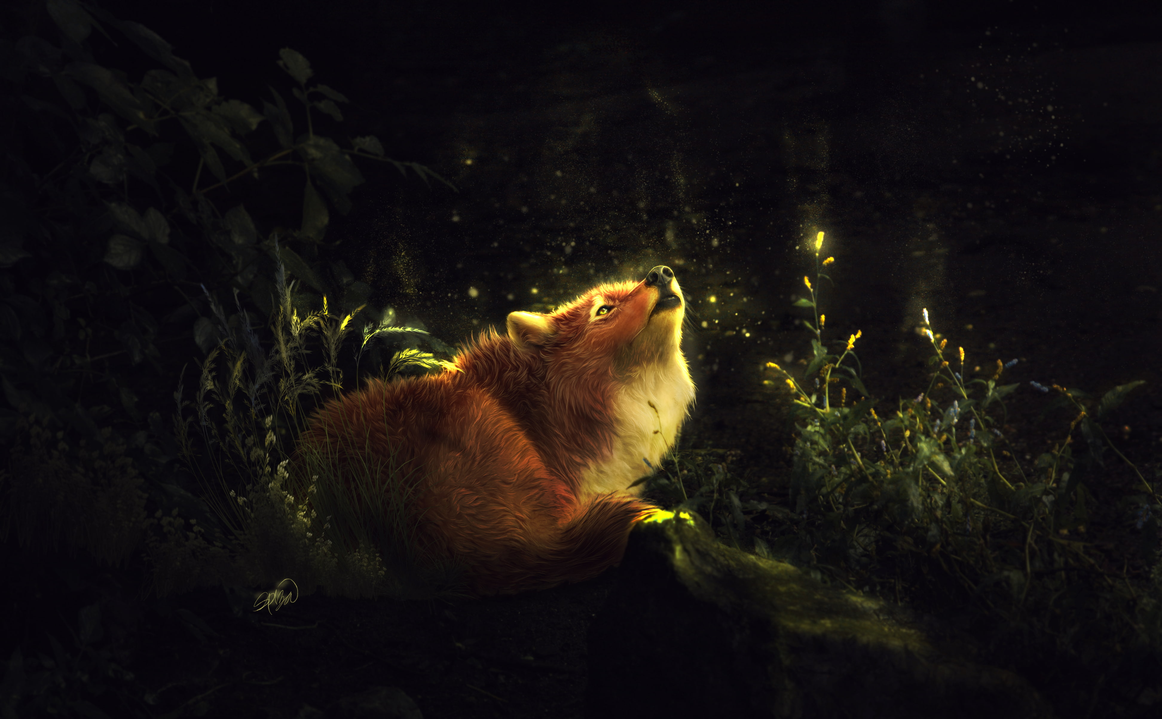 Howling, 4K, Enchanted, Fox, Forest, 4K, HD Wallpaper