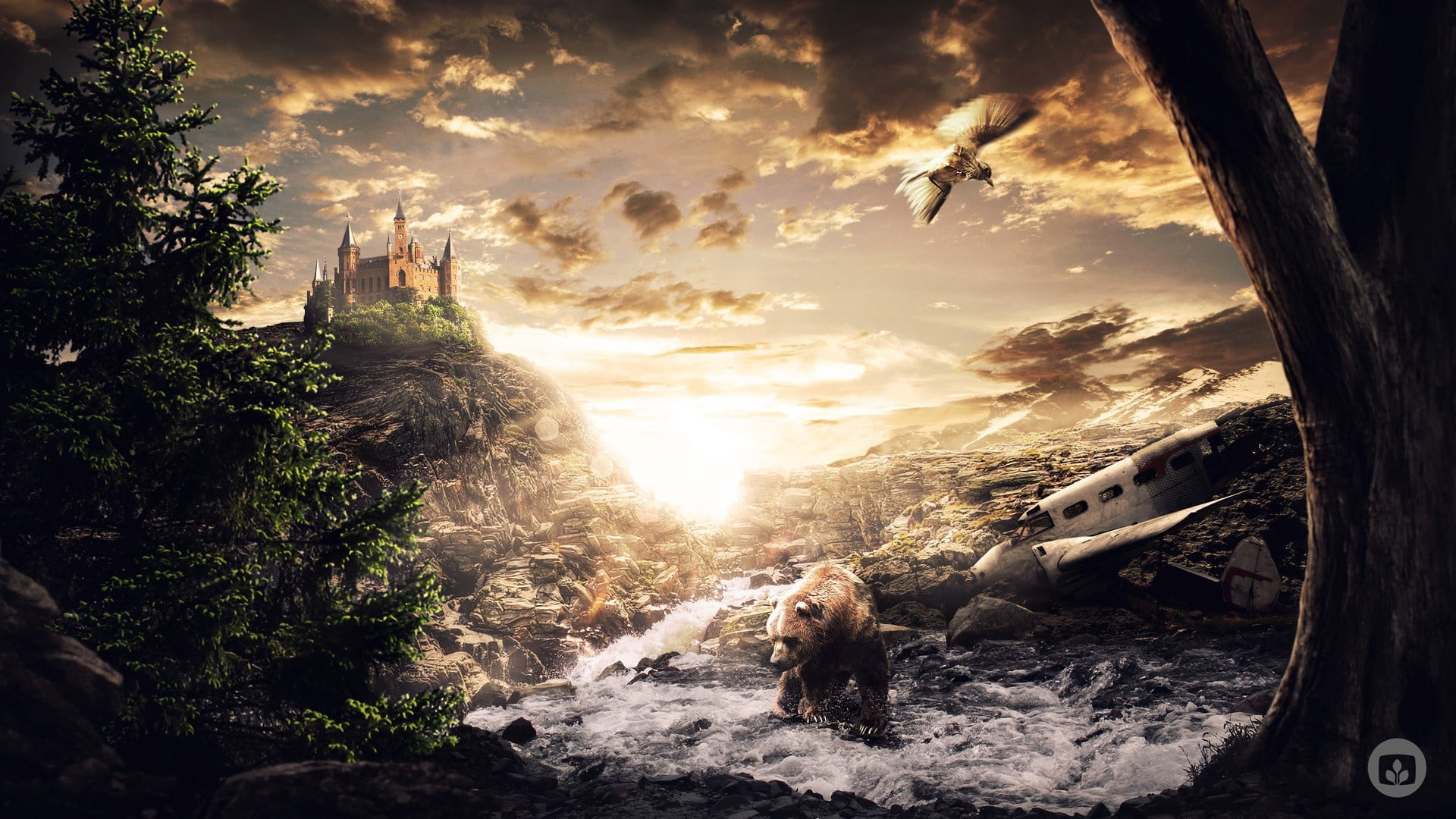 brown, bears, pine trees, 1080P, sky, animal, birds, sunlight, clouds, day, canine, animal themes, nature, wreck, tree, stream, beauty in nature, one animal, HD Wallpaper