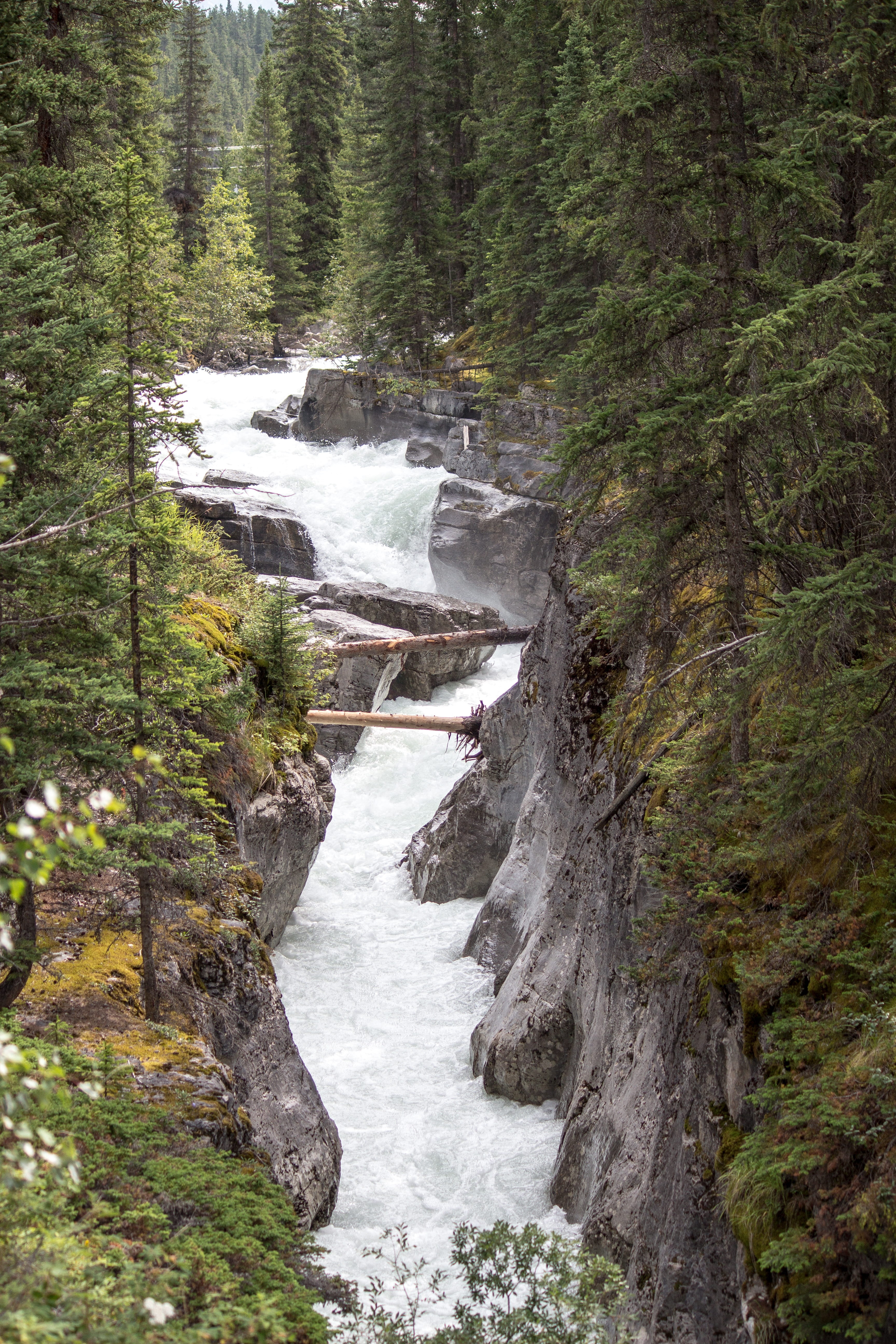 flowing, destinations, mountain, canadian, park, outdoors, untamed, power in nature, cavell, forest, flowing water, river, rock, lake, no people, columbia, Phone HD Wallpaper