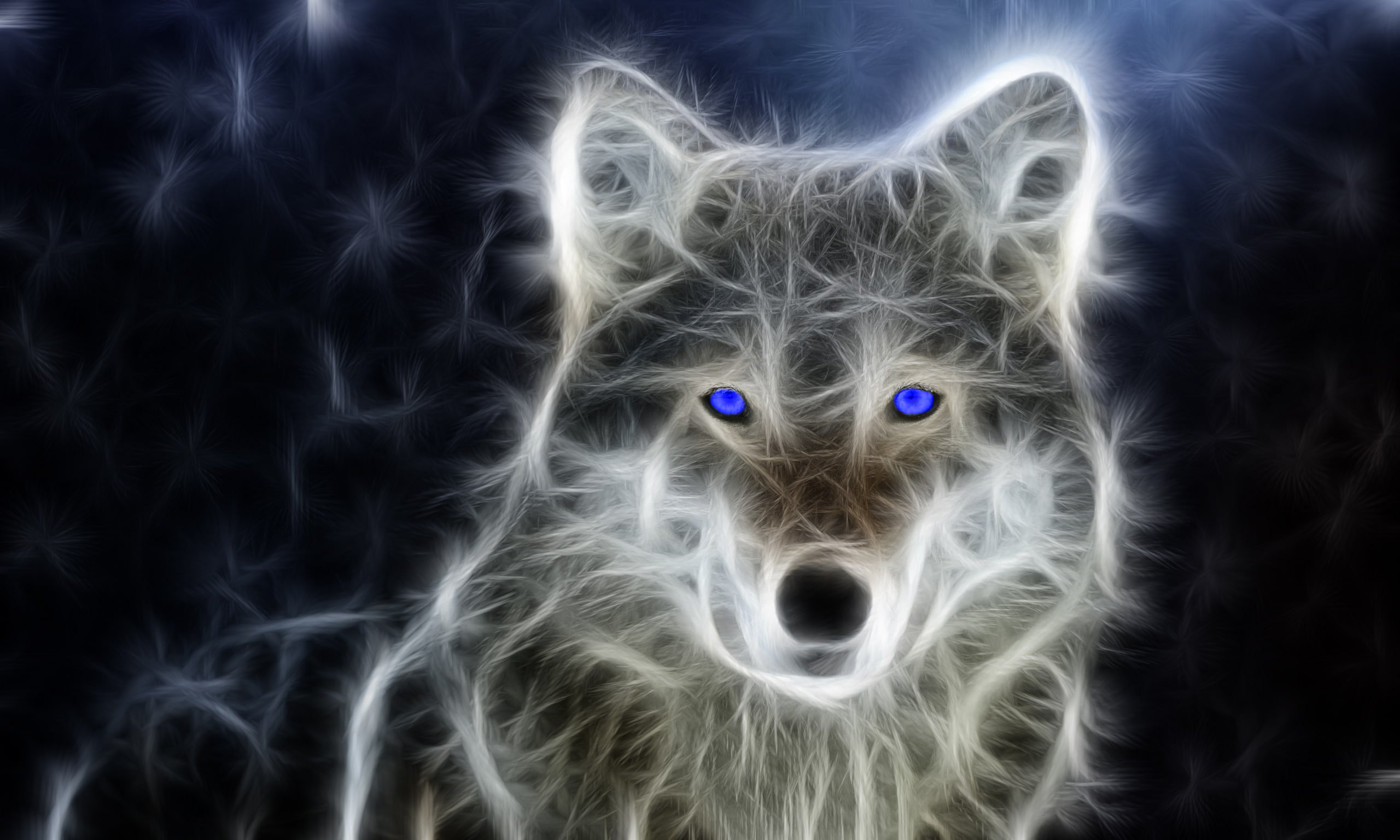animals, 2K, blue eyes, wolf, abstract, HD Wallpaper