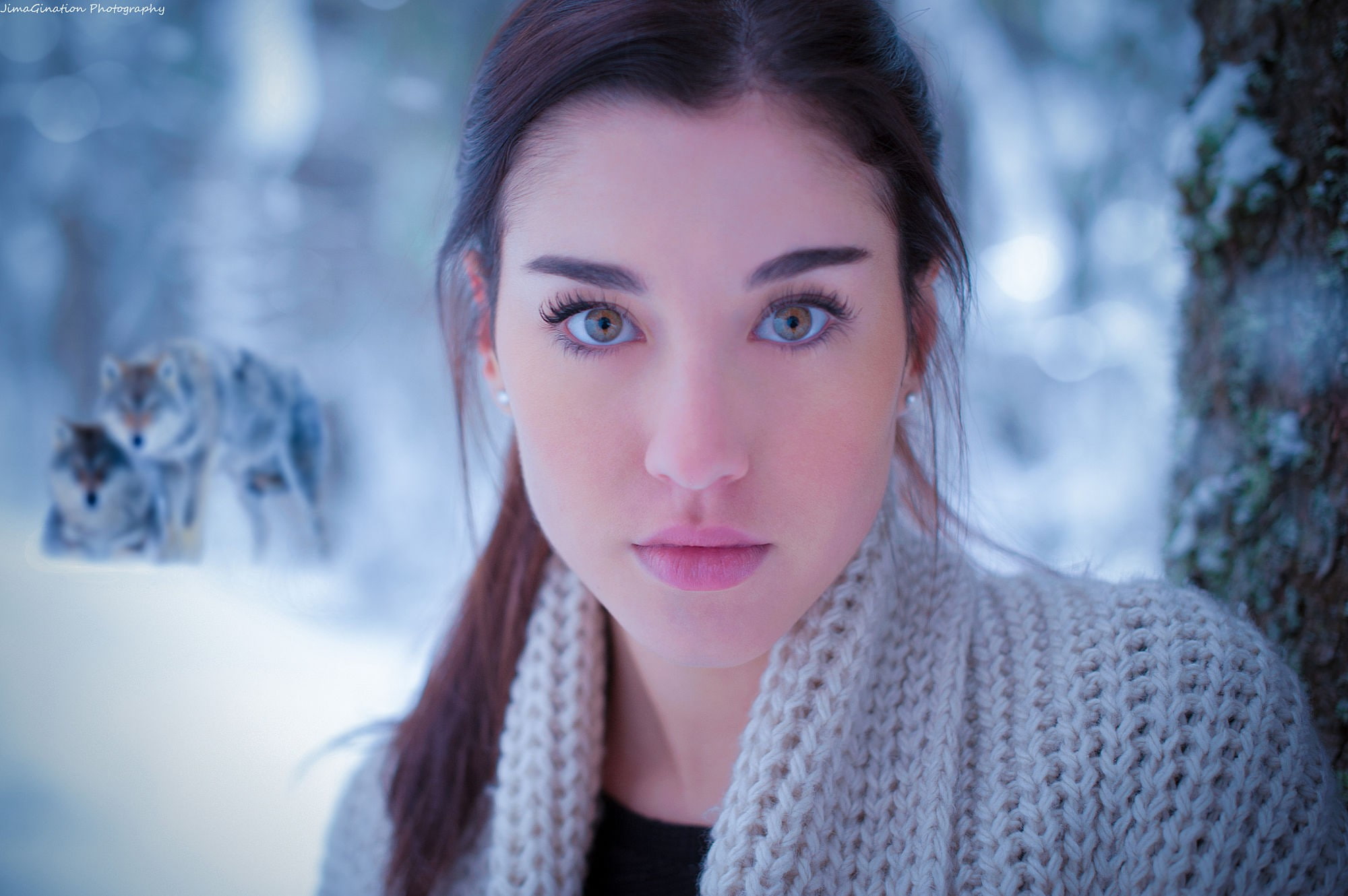 face, brown eyes, 1080P, pale, looking at viewer, brunette, women, wolf, HD Wallpaper