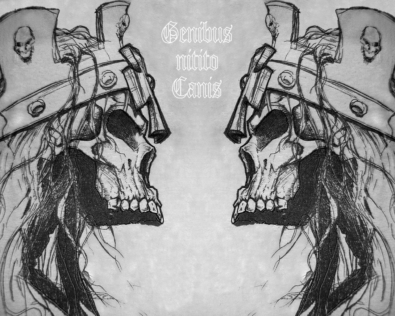 architecture, genibus, sketch, western script, day, canis, no people, nature, indoors, wall - building feature, communication, monochrome, 720P, close-up, HD Wallpaper
