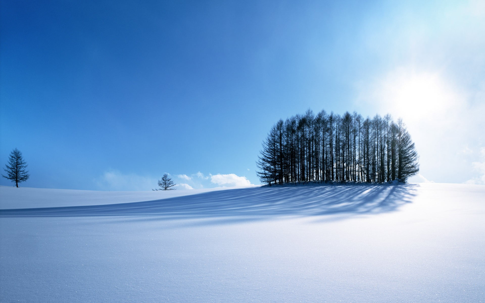 environment, sunlight, nature, scenics - nature, frozen, shadow, blue, plant, no people, daytime, outdoors, tree, land, copy space, near, landscape, snow, HD Wallpaper